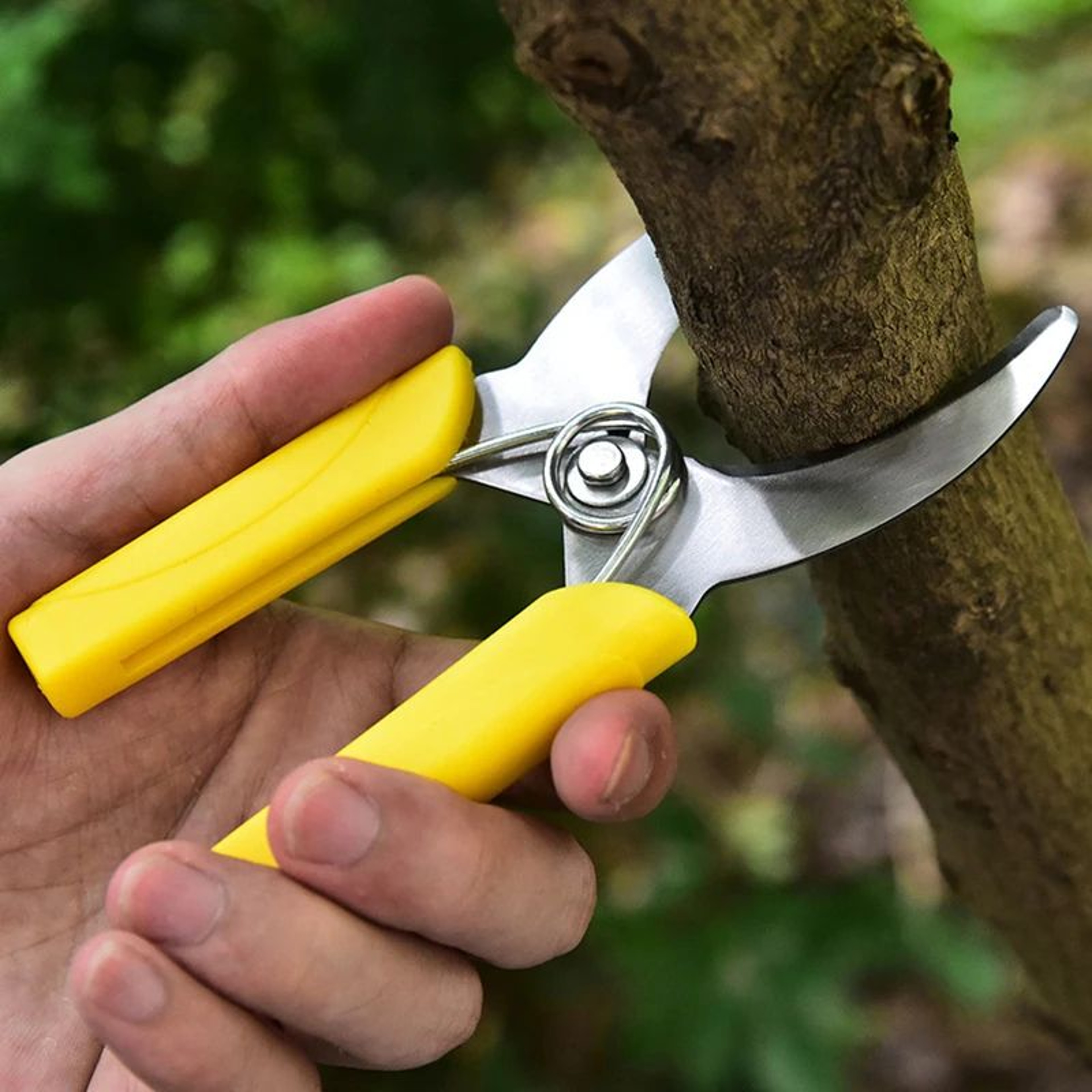 Precision Grafting Knife And Pruning Knife For Fruit Trees  Stainless Steel Branch Cutter With NonS 1