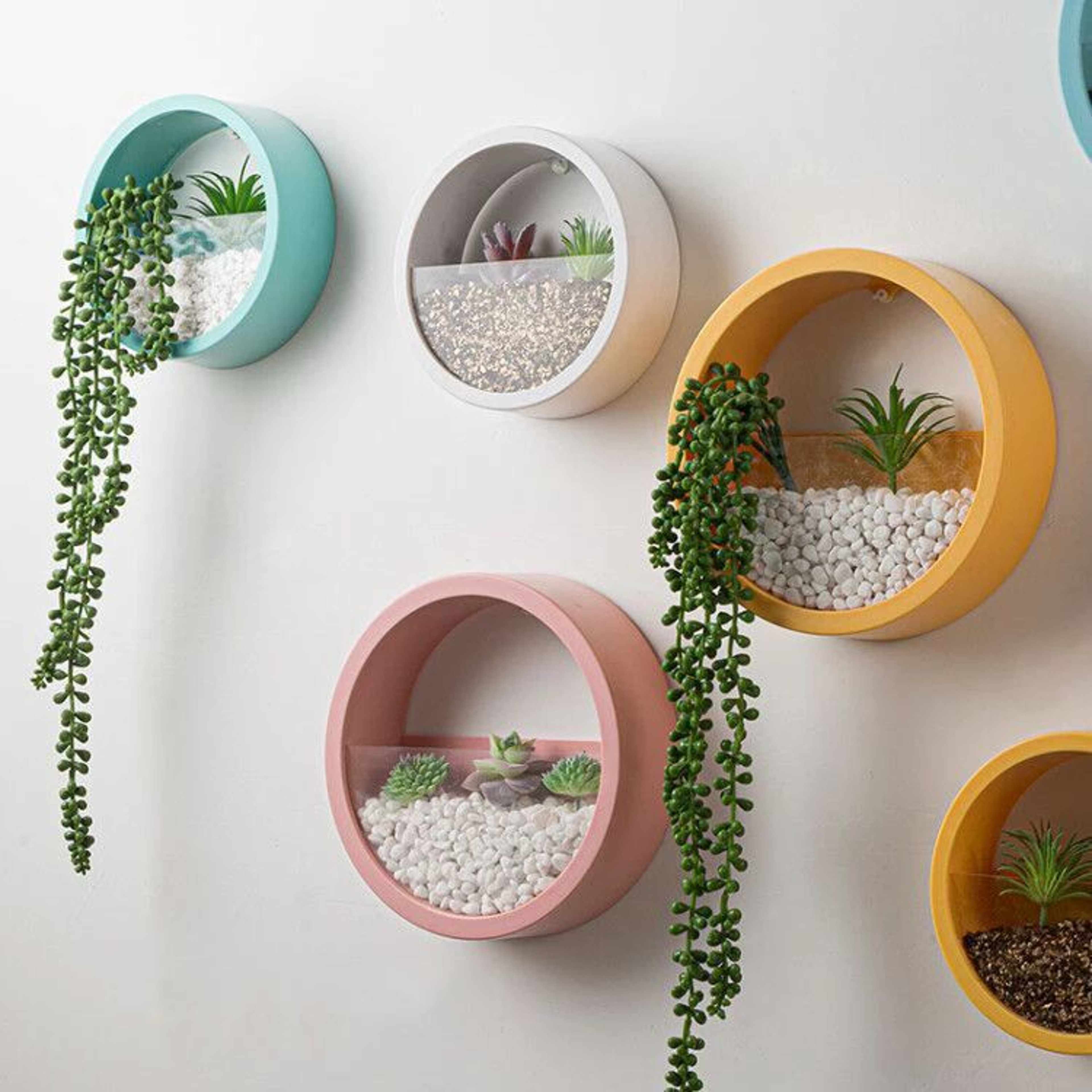 Nordic Wall Mounted Hydroponic Planter  Sleek Circular Plant Pot For Stylish Home Wall Decor 0