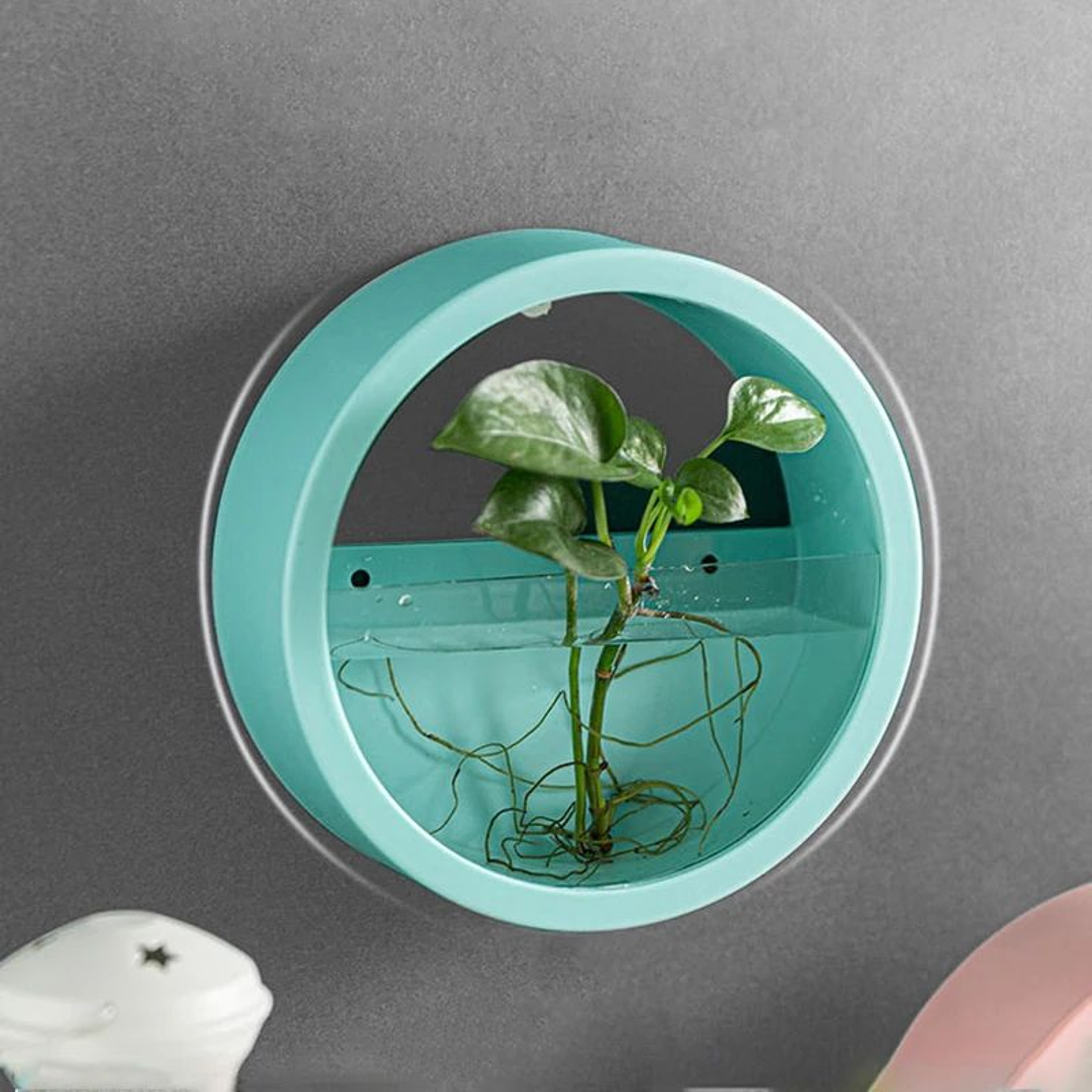 Nordic Wall Mounted Hydroponic Planter  Sleek Circular Plant Pot For Stylish Home Wall Decor 1
