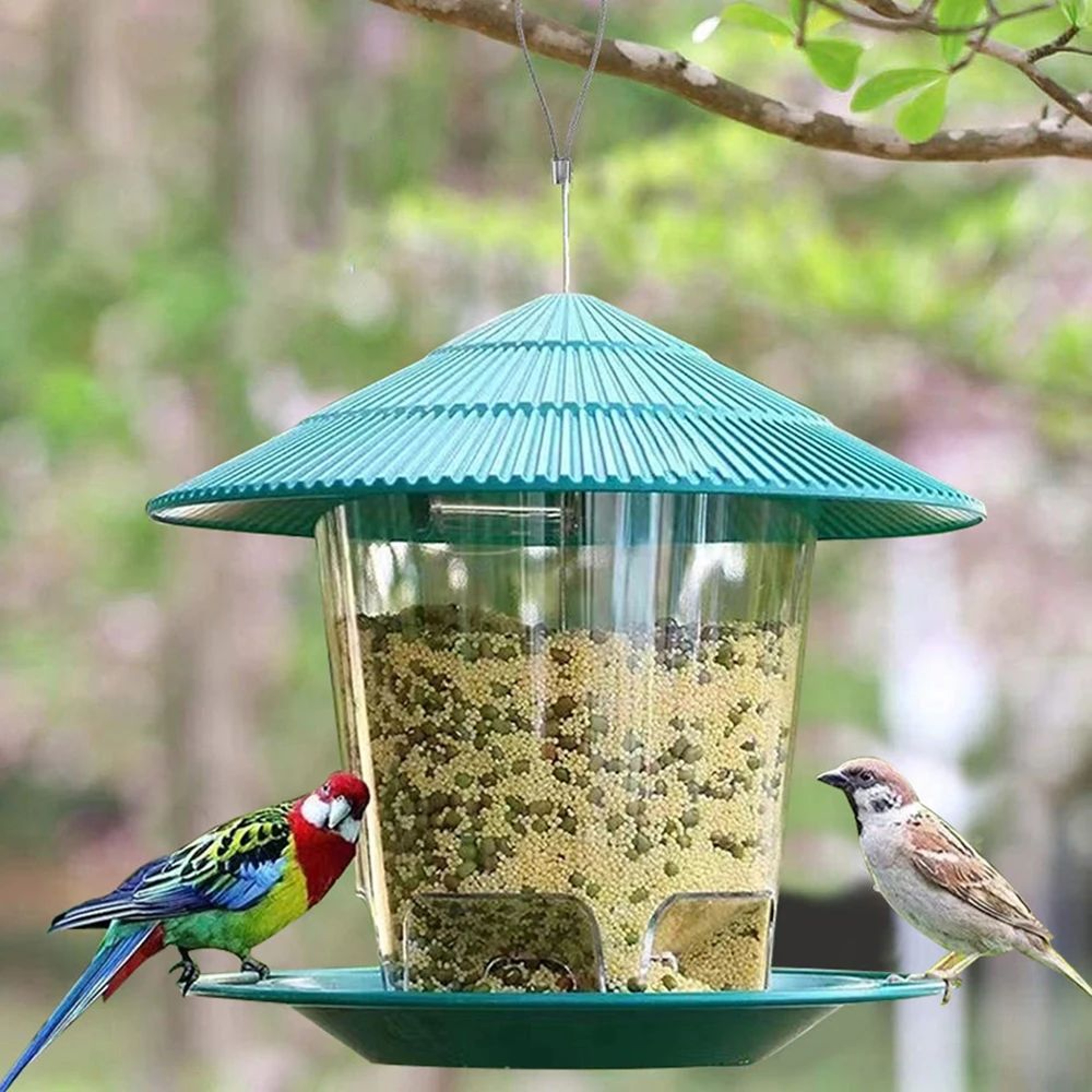 Clear Window Bird Feeder House  Hanging Wild Bird Feeding Station For Seeds Nuts  Peanuts 0
