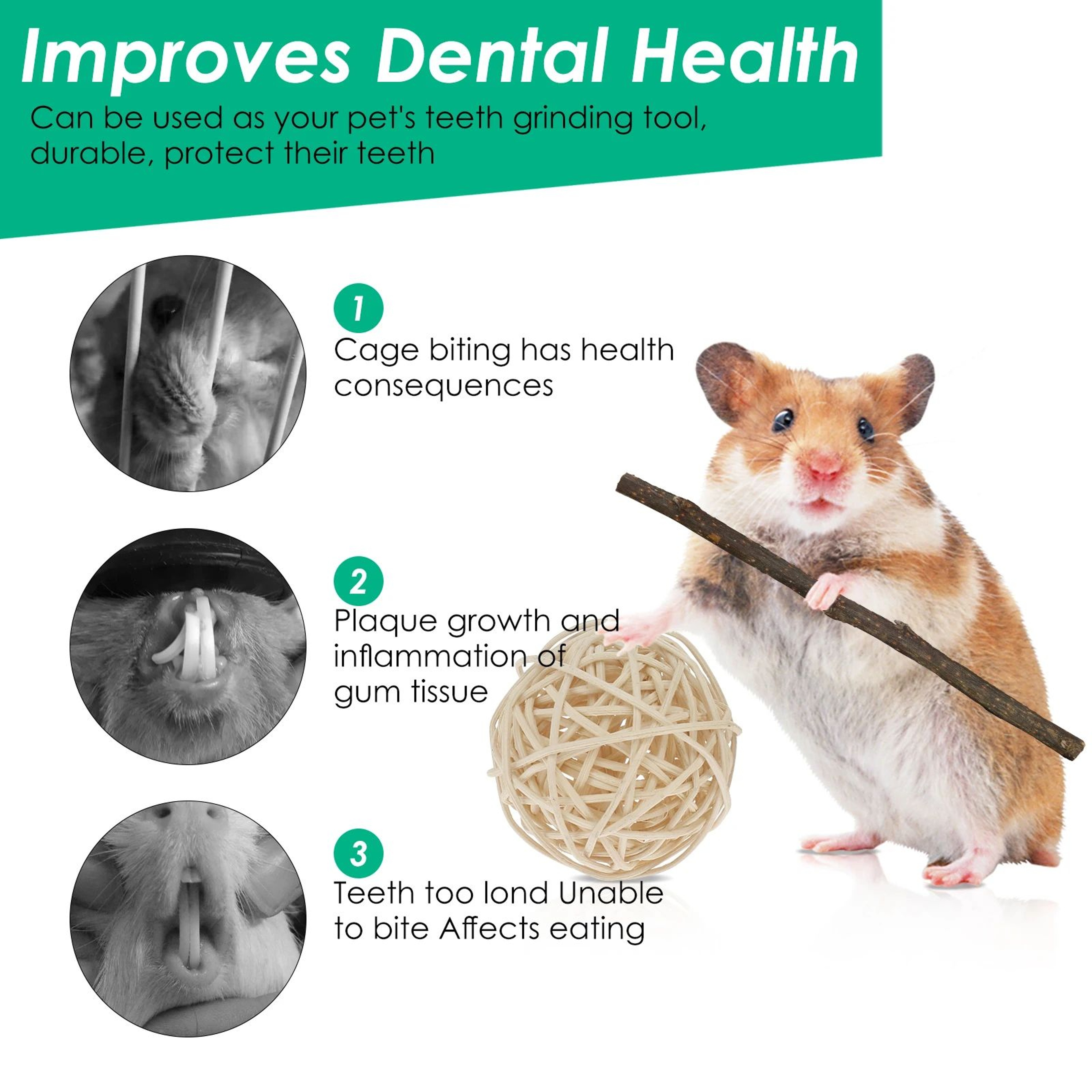 Natural Wood Chew Toy Set For Small Pets  Ultimate Hamster Chew Toy Set For Dental Health  Play 1