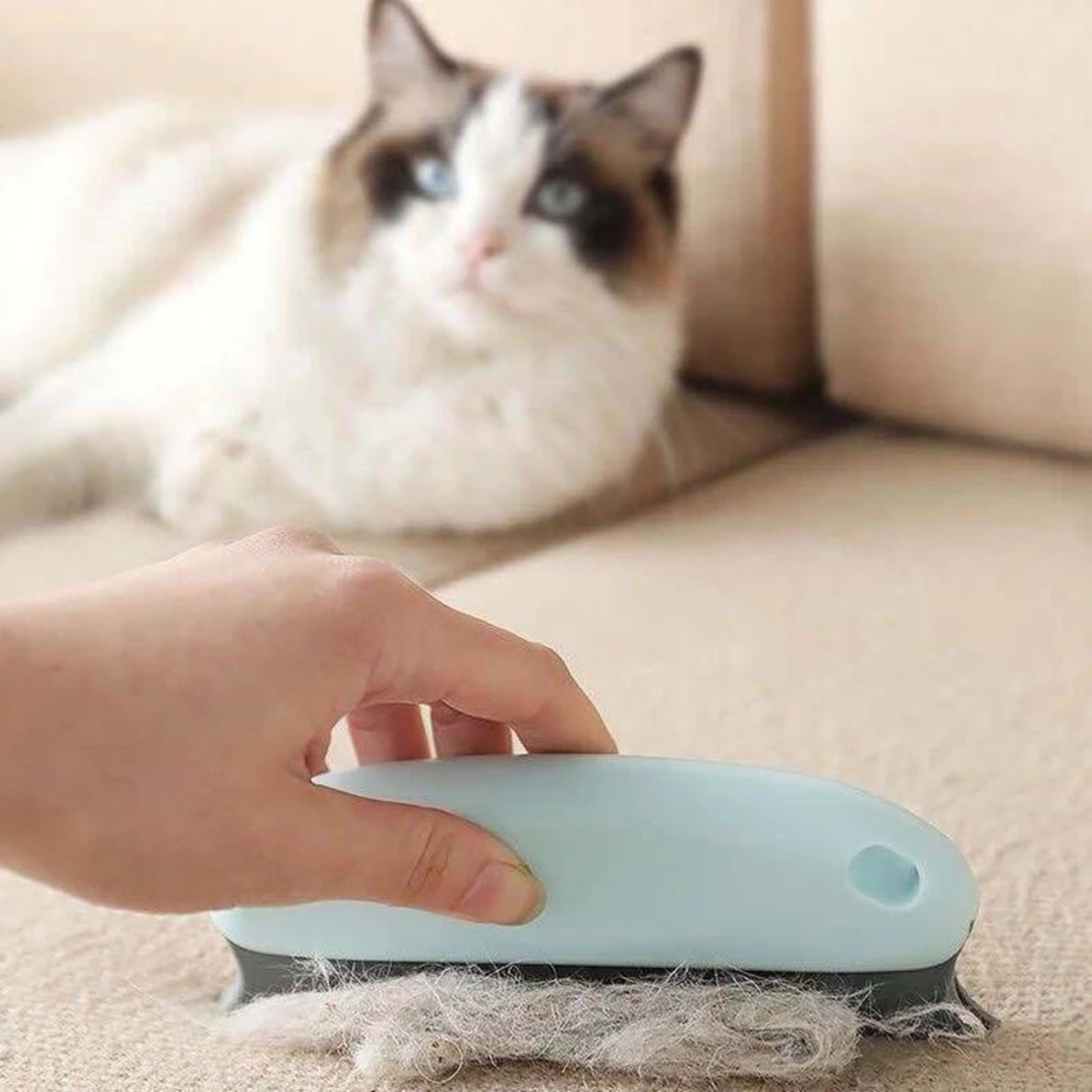 FurSweep Pro Pet Hair Remover Brush For Furniture Carpets  Cars 2