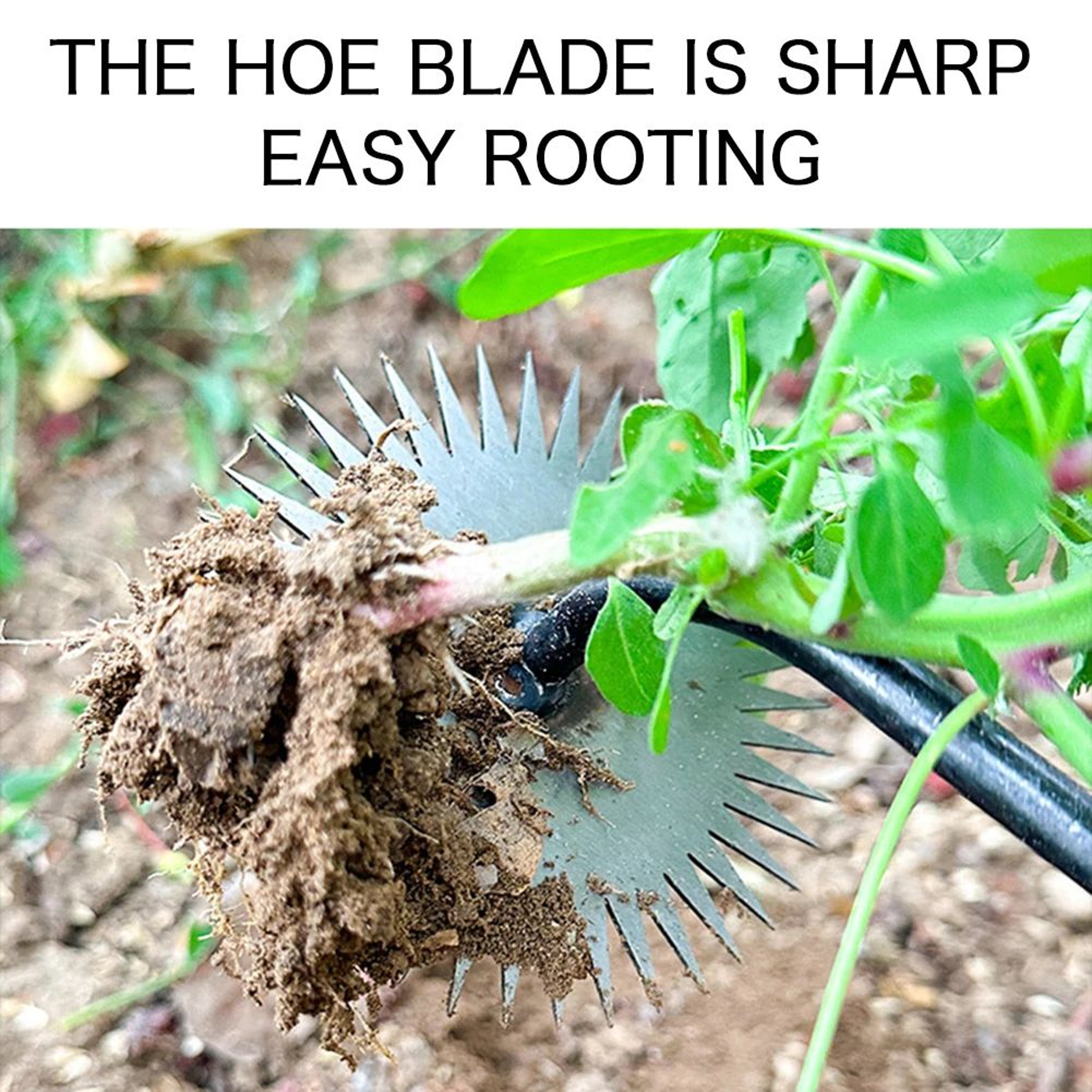 Sunflower MultiEdge Garden Weeding Tool  Durable Manual Weed Remover For Effortless Lawn Care 3