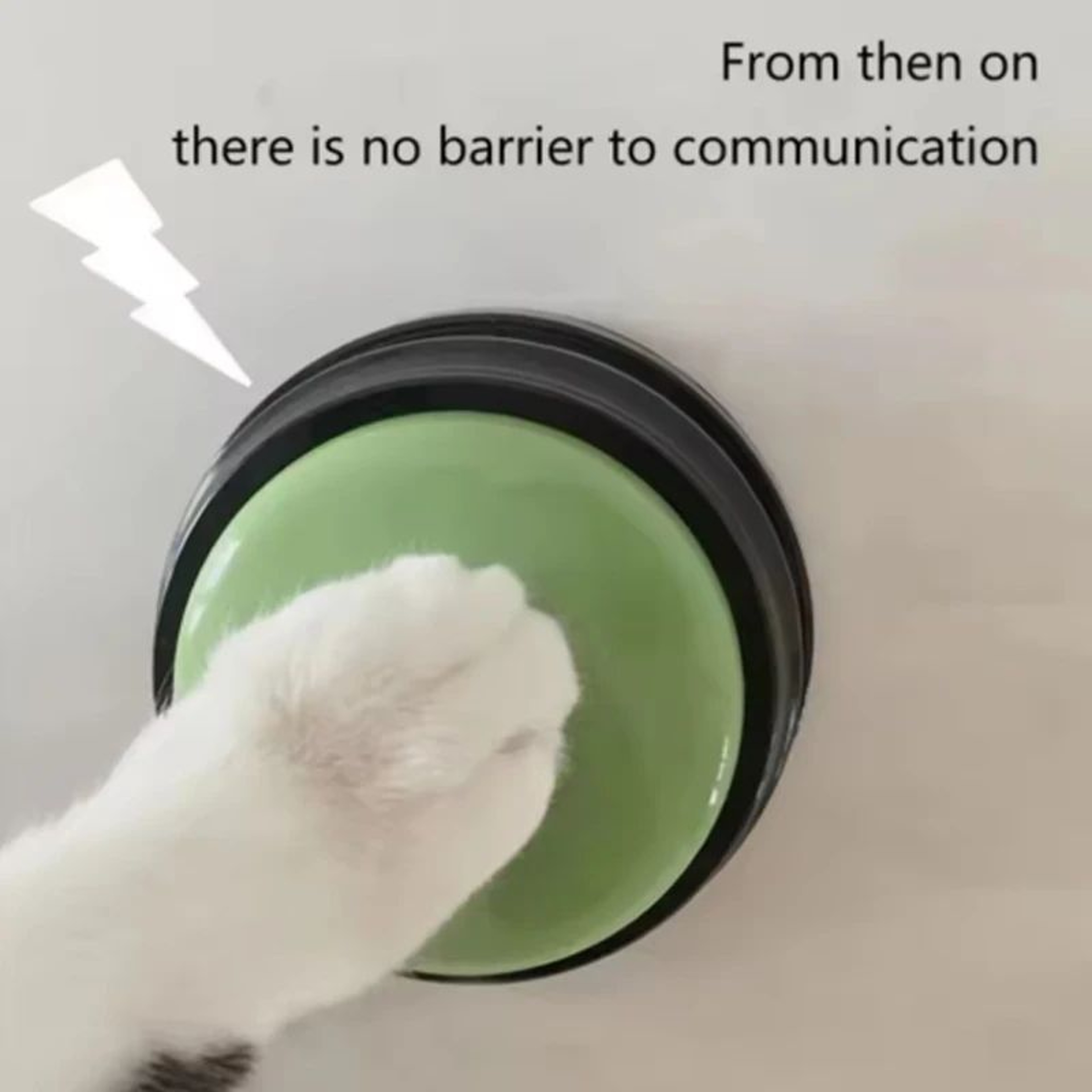 Portable Dog Talking Buttons For Communication And Training 4Pack Recordable Pet Buttons 3