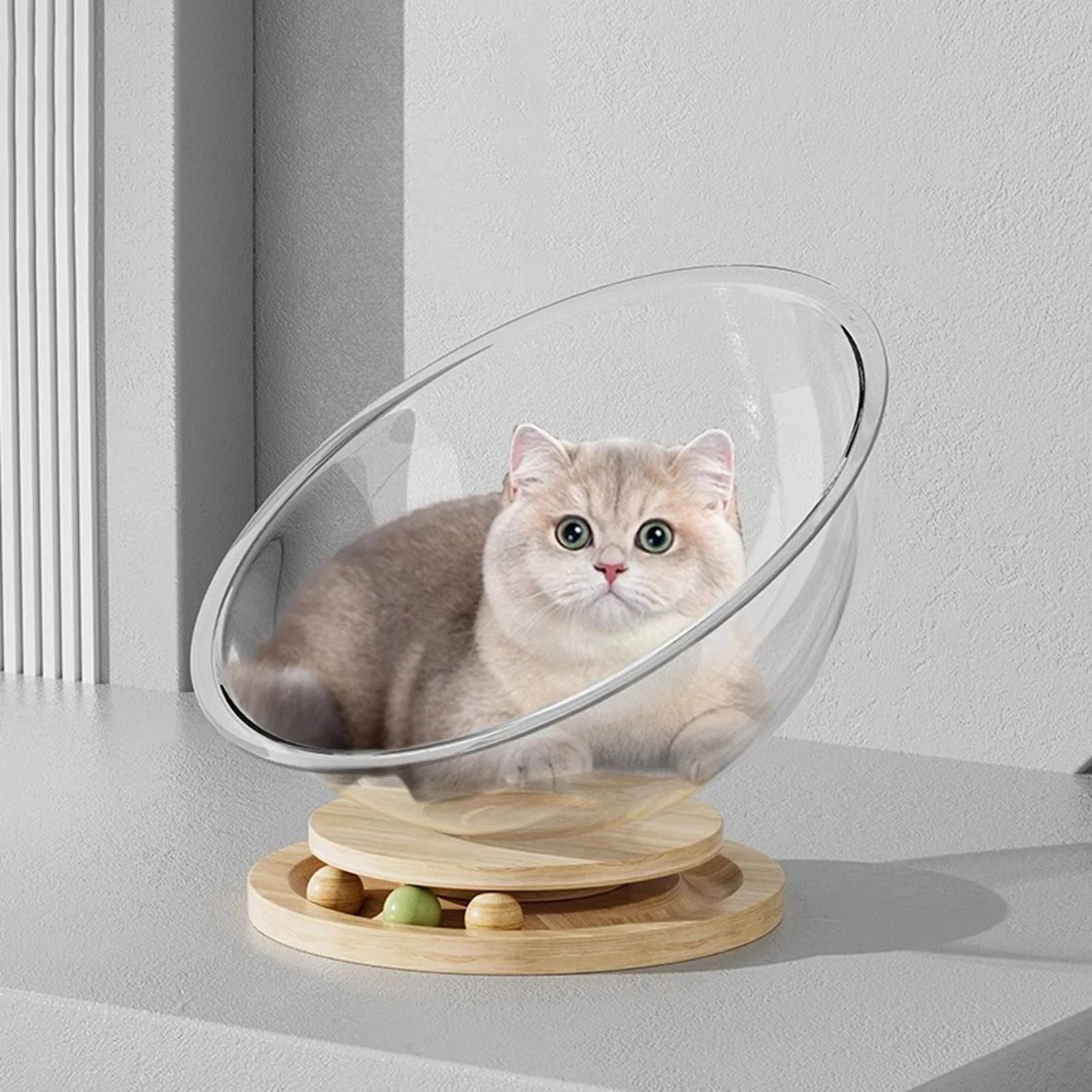 Clear Cat Bed Capsule House With Removable Cushion For AllSeason Comfort 2