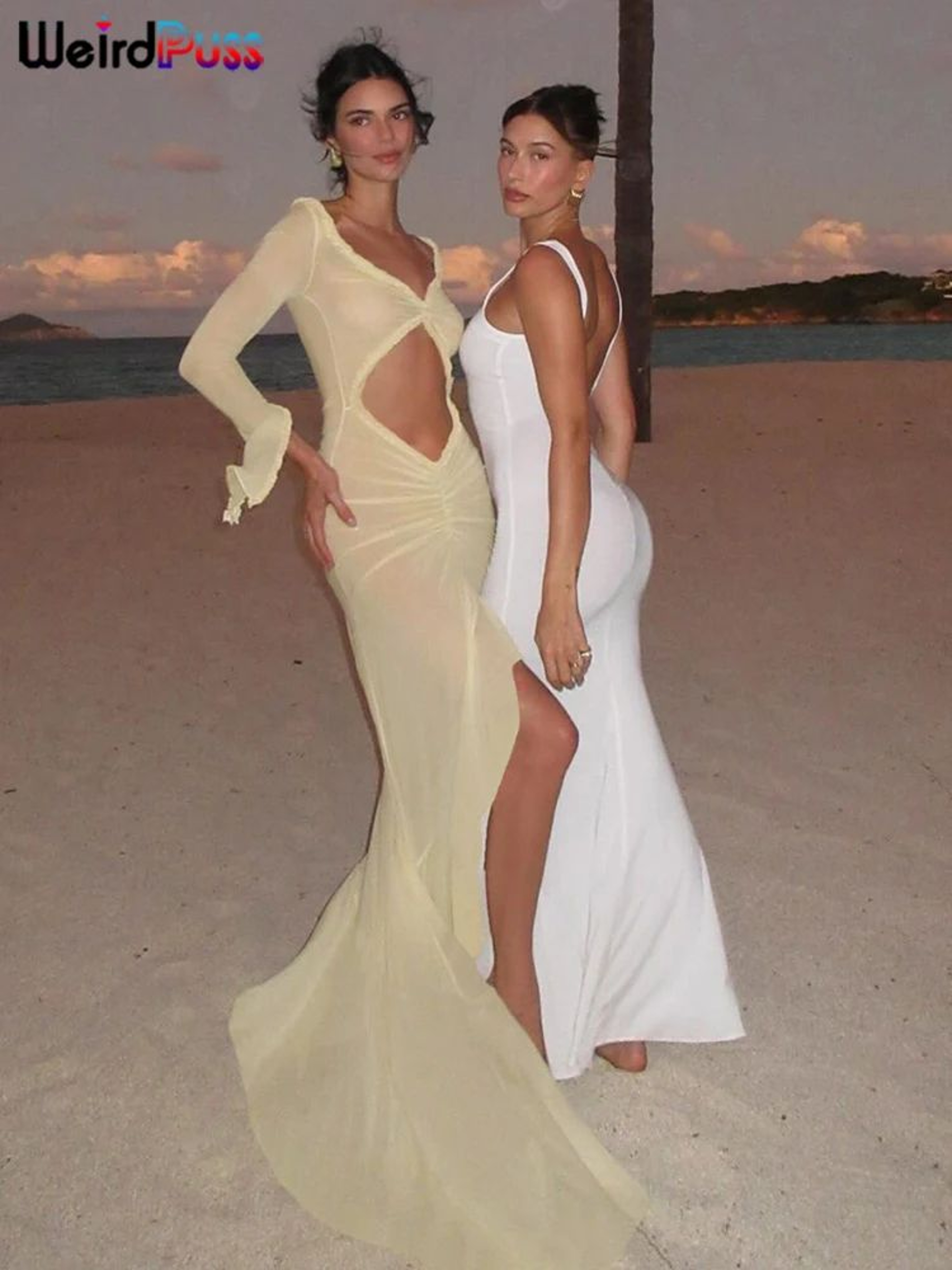 Weird Puss Sheer Bodycon Maxi Dress For Women  Ruched VNeck Long Sleeve Split Hem CoverUp 3