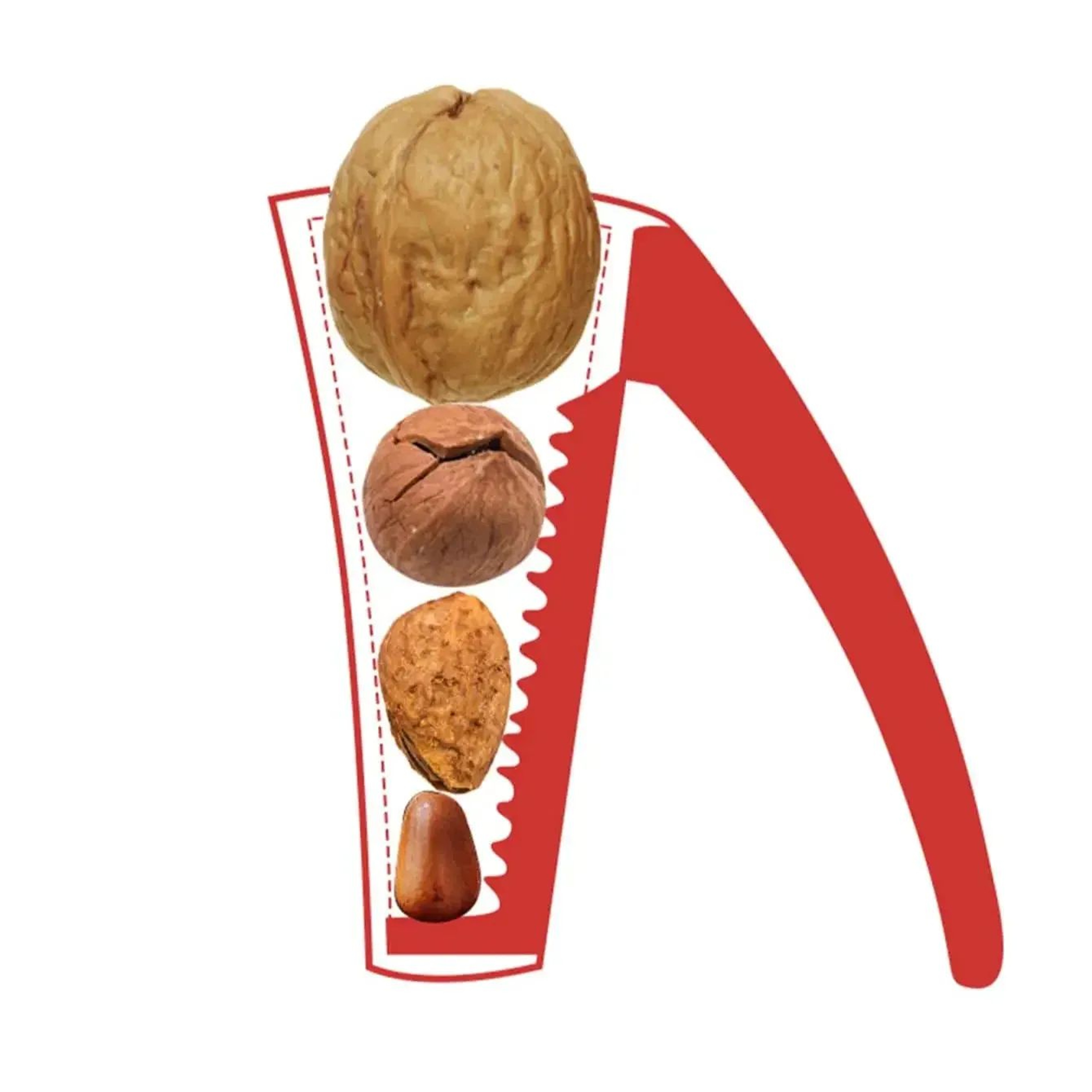 Premium Heavy Duty Nutcracker Tool For Walnuts Pecans  Chestnuts 5