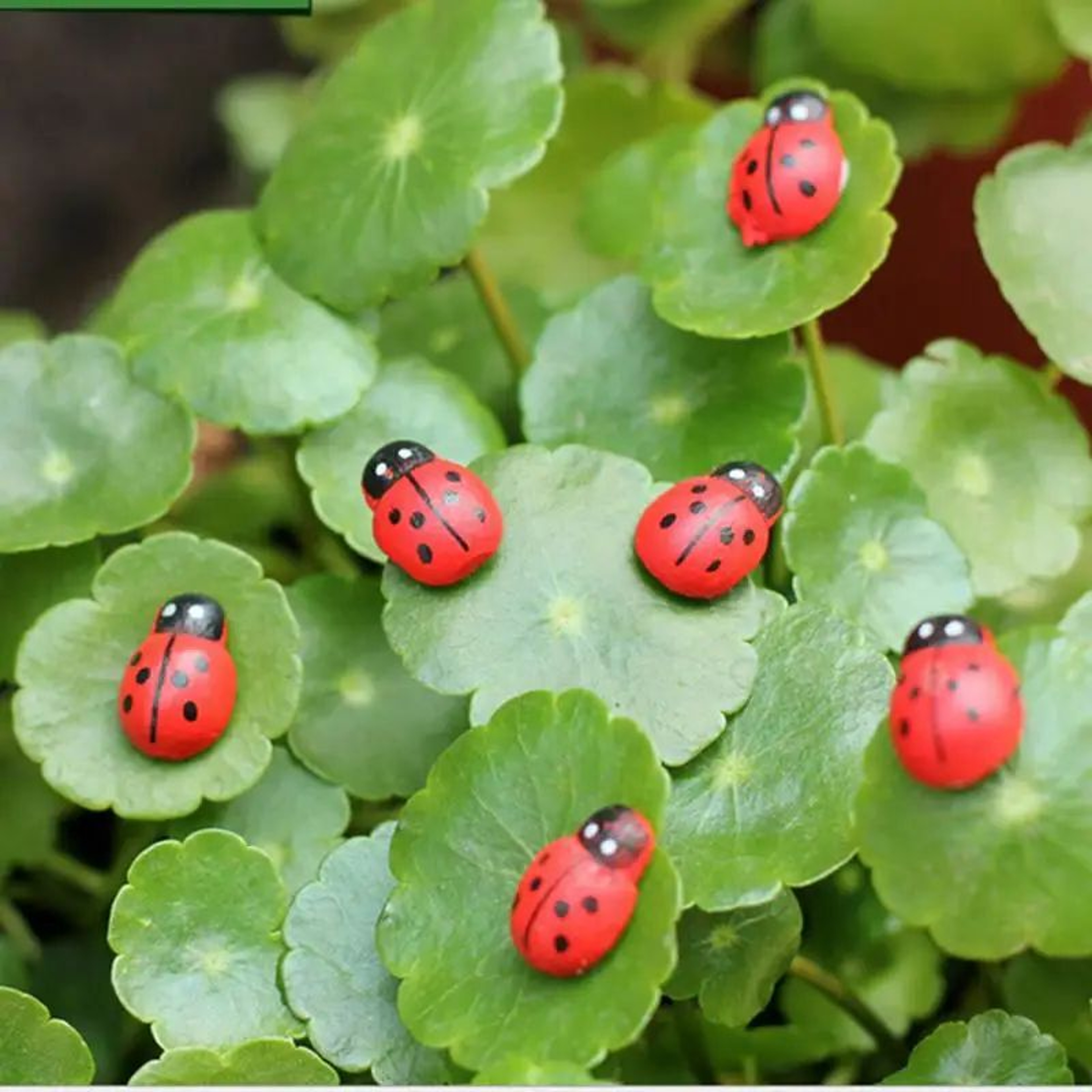 Cute Mini Animal Figurines For Fairy Garden Decor  Bonsai Miniatures 3