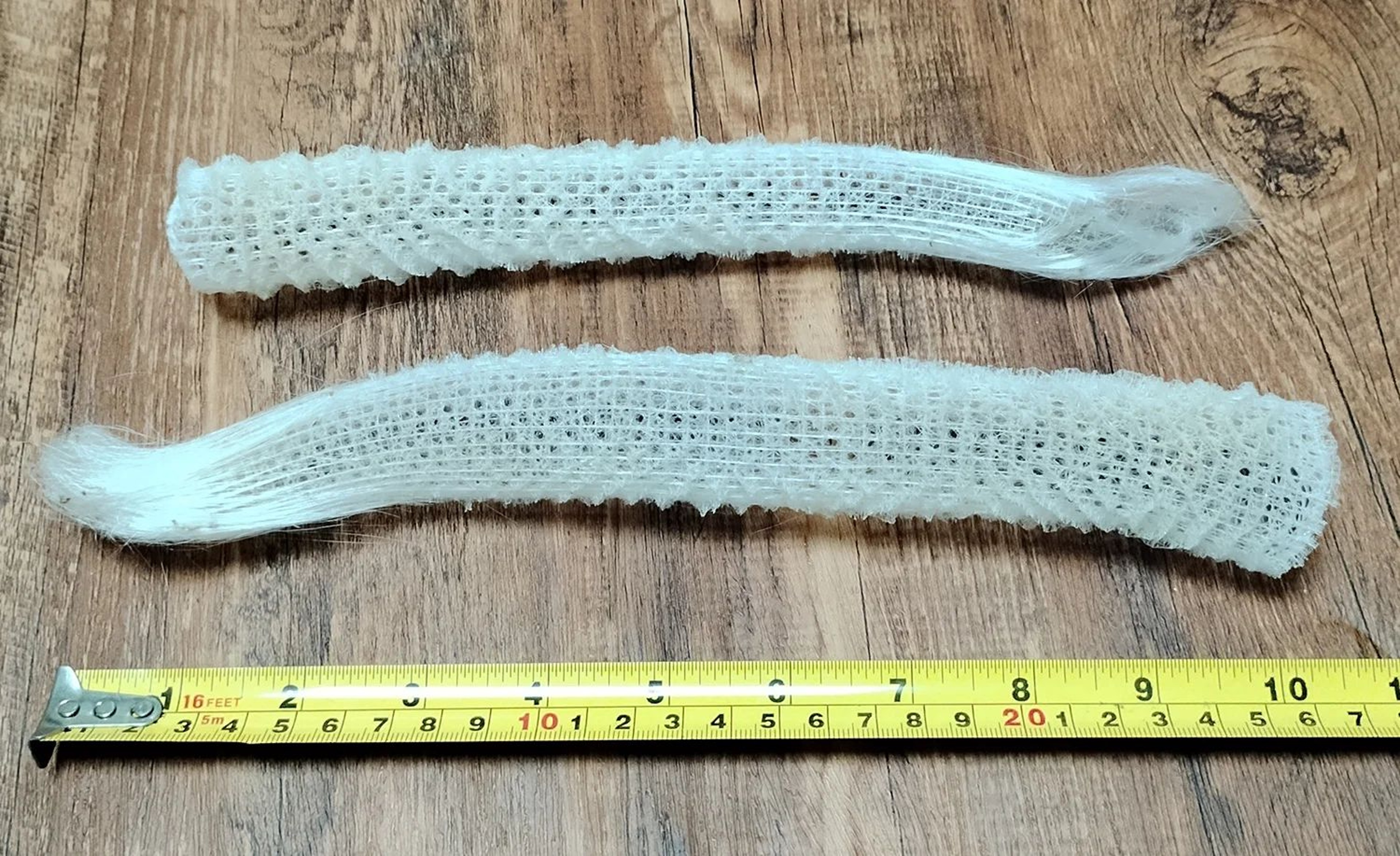 Venus Flower Basket Glass Sponge Decor  Natural Euplectella Shell For Coastal Aquarium And Ocean Di 5