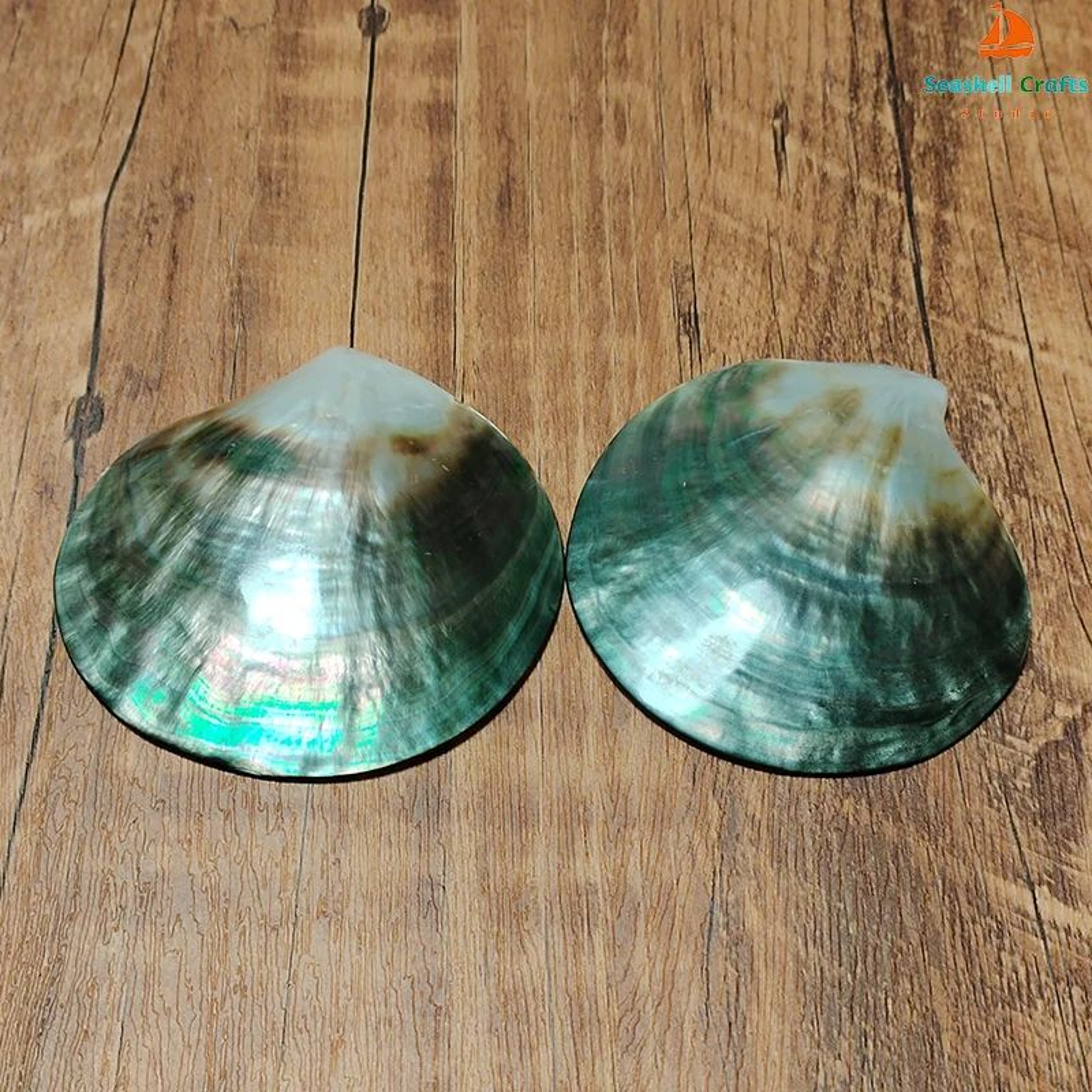 Black Mother Of Pearl Shell Beads  Polished Pinctada Margaritifera For DIY Jewelry  Elegant Storage 1