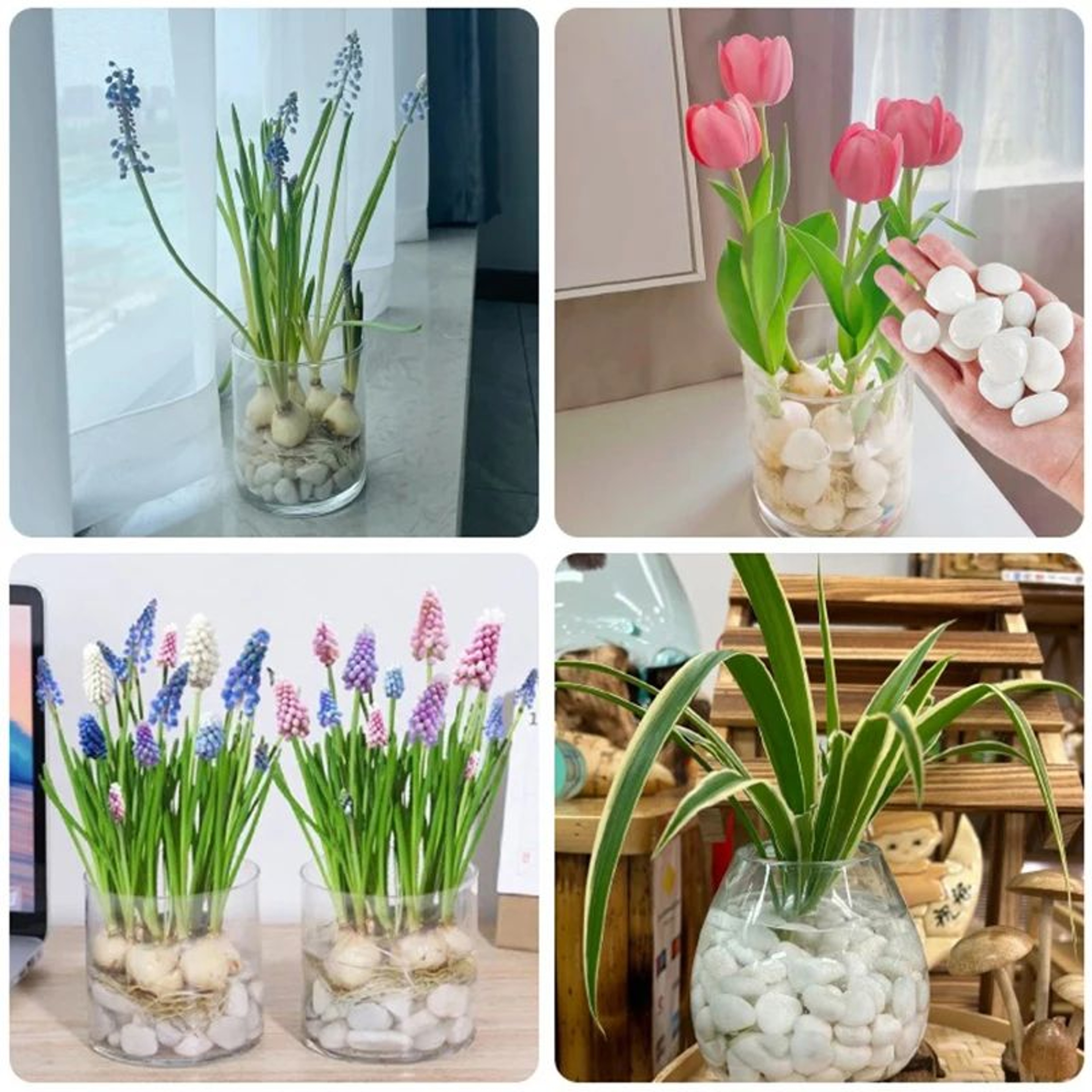 White Polished Pebbles 23cm For Plants Fish Tanks And Garden Decor 4