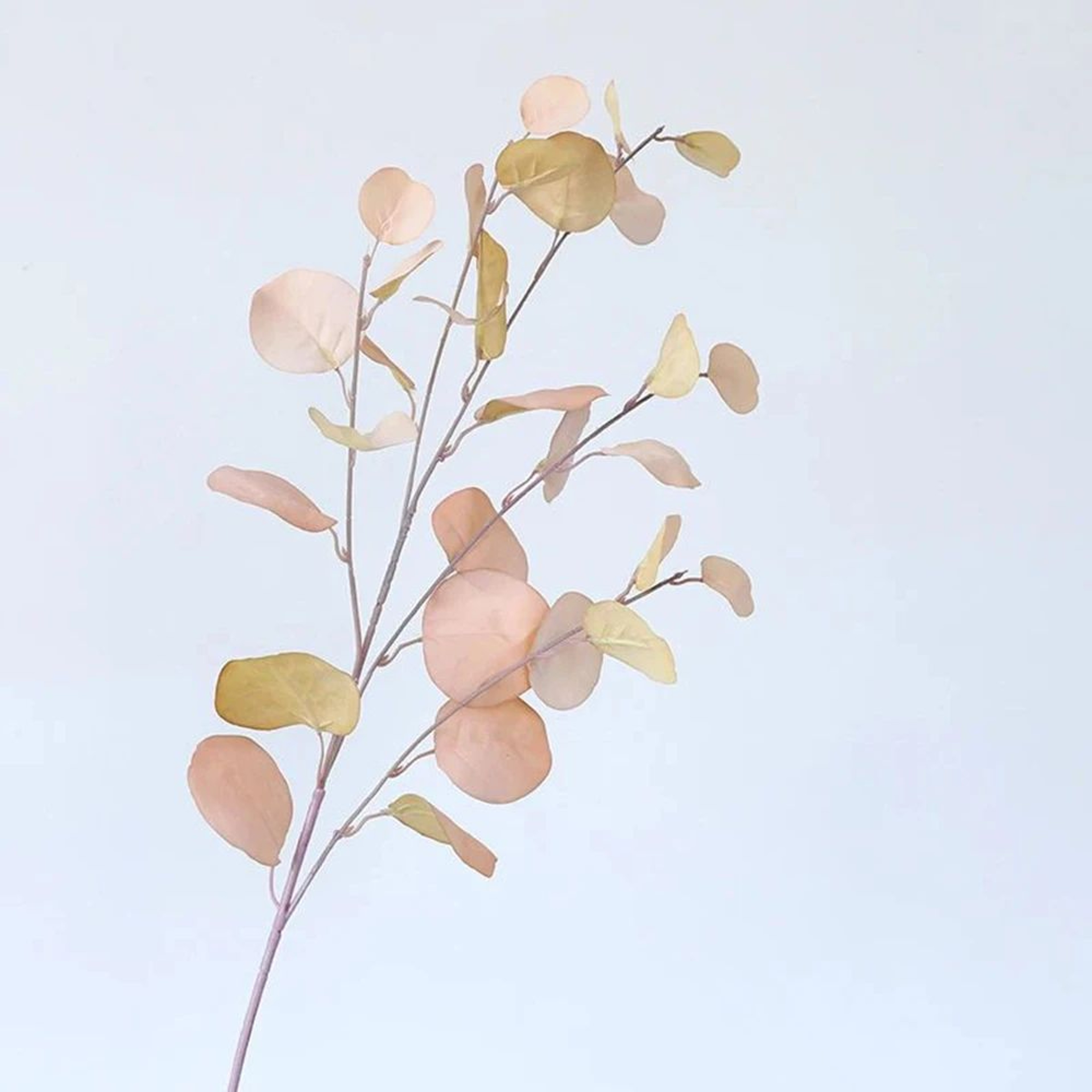 Eucalyptus Money Leaf Faux Greenery Stem For Vases Wedding Tables And Wall Decor 8