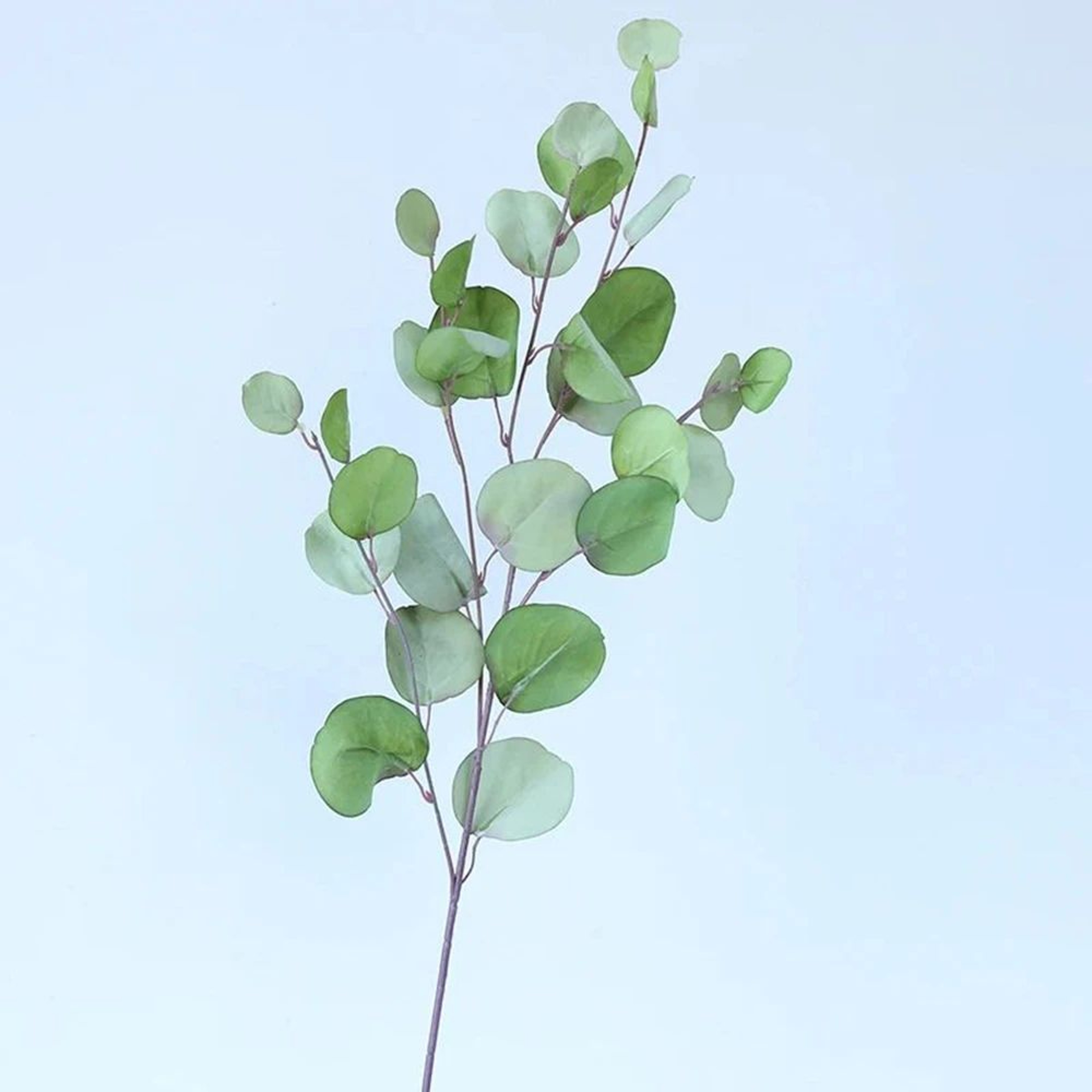 Eucalyptus Money Leaf Faux Greenery Stem For Vases Wedding Tables And Wall Decor 11