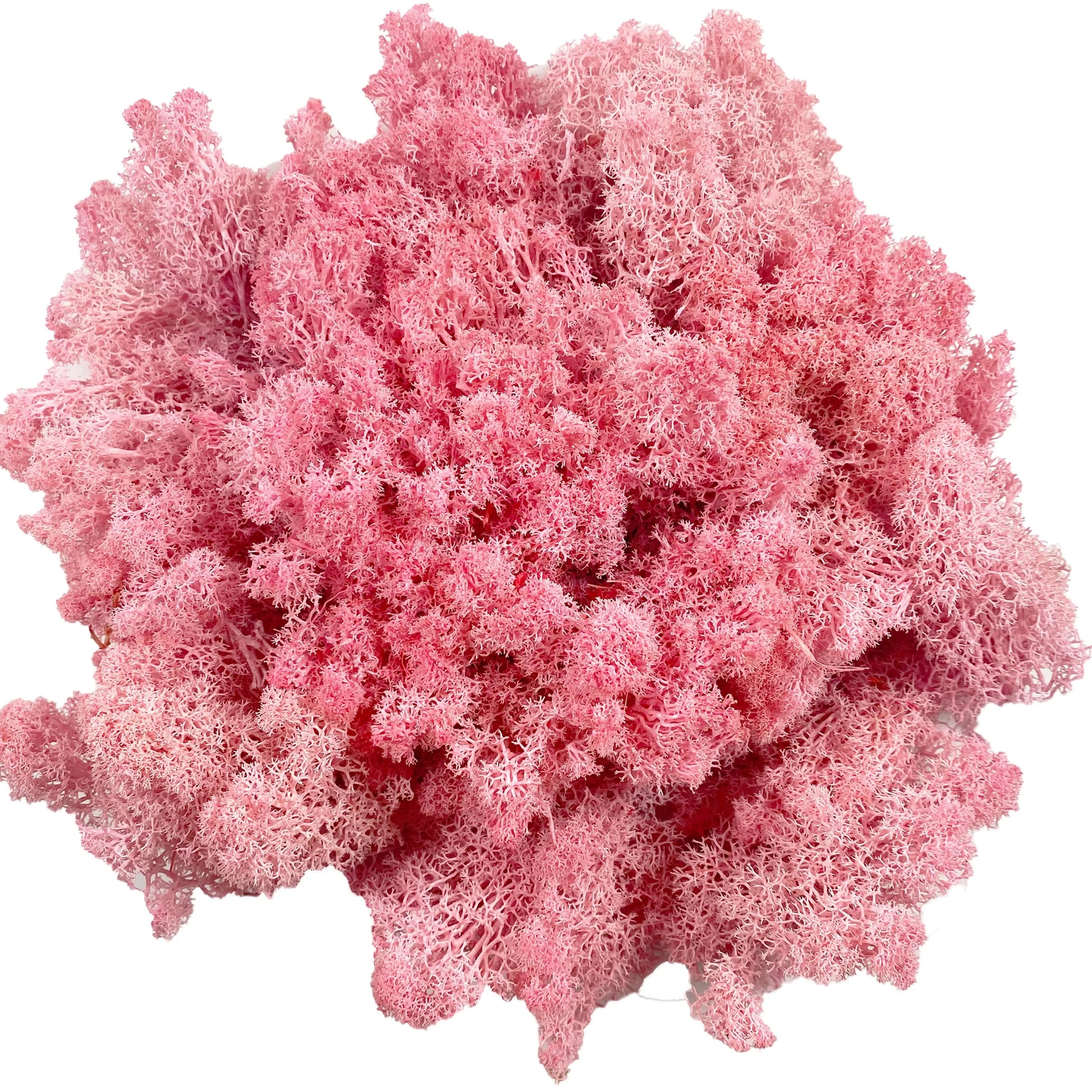 Premium Artificial Moss For Plants  Crafts  Realistic Reindeer Moss Decor For DIY Floral  Wall Styl 12