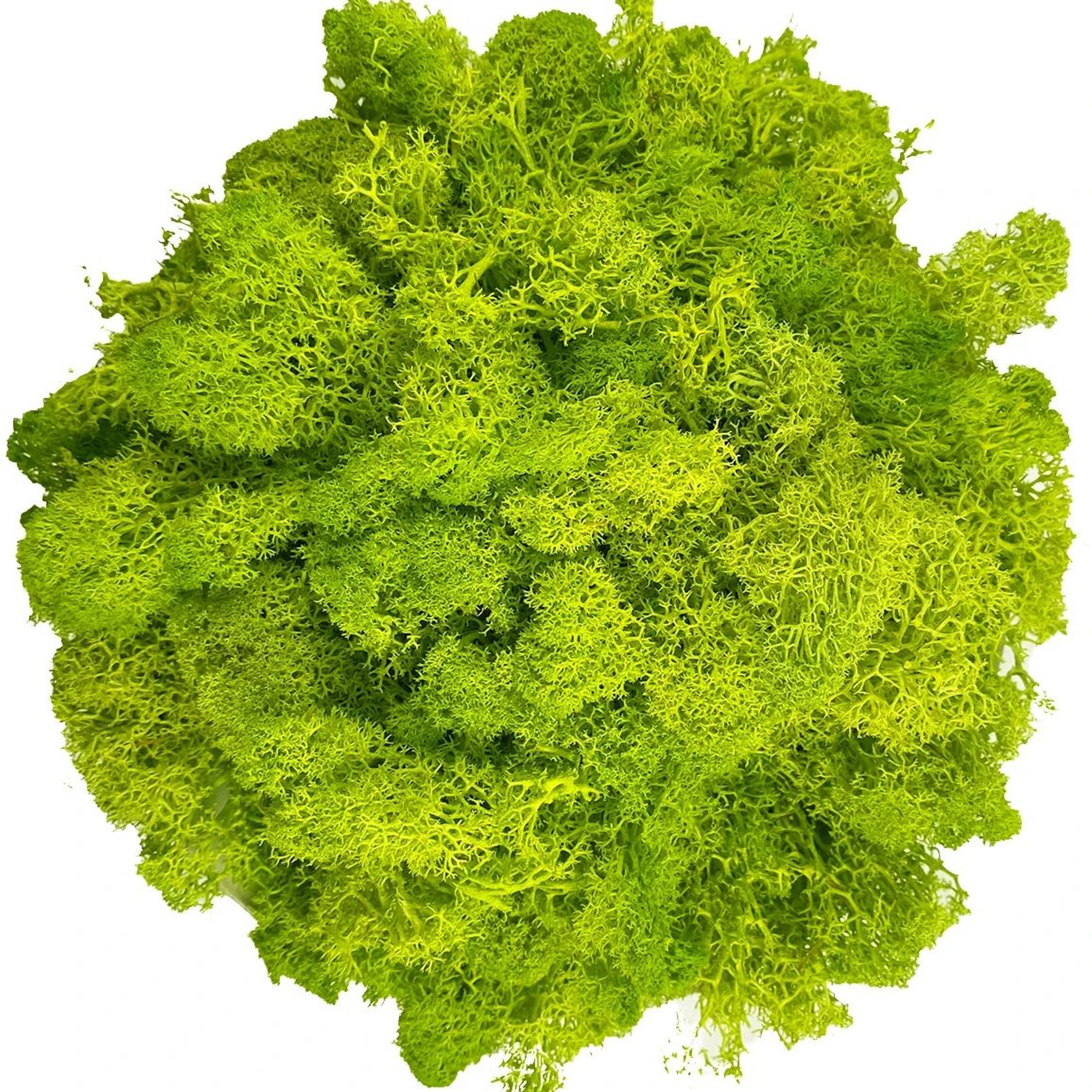 Premium Artificial Moss For Plants  Crafts  Realistic Reindeer Moss Decor For DIY Floral  Wall Styl 13