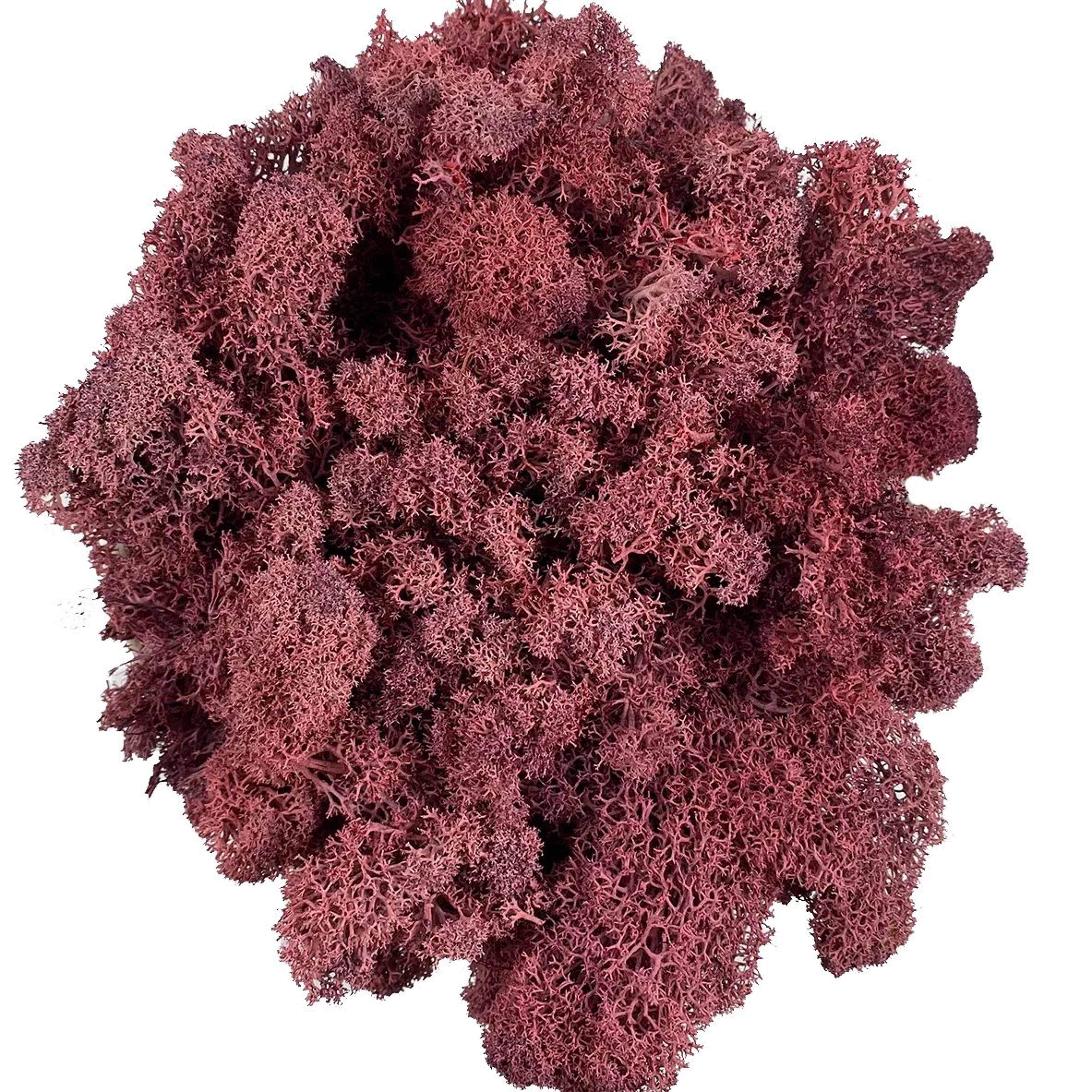 Premium Artificial Moss For Plants  Crafts  Realistic Reindeer Moss Decor For DIY Floral  Wall Styl 18