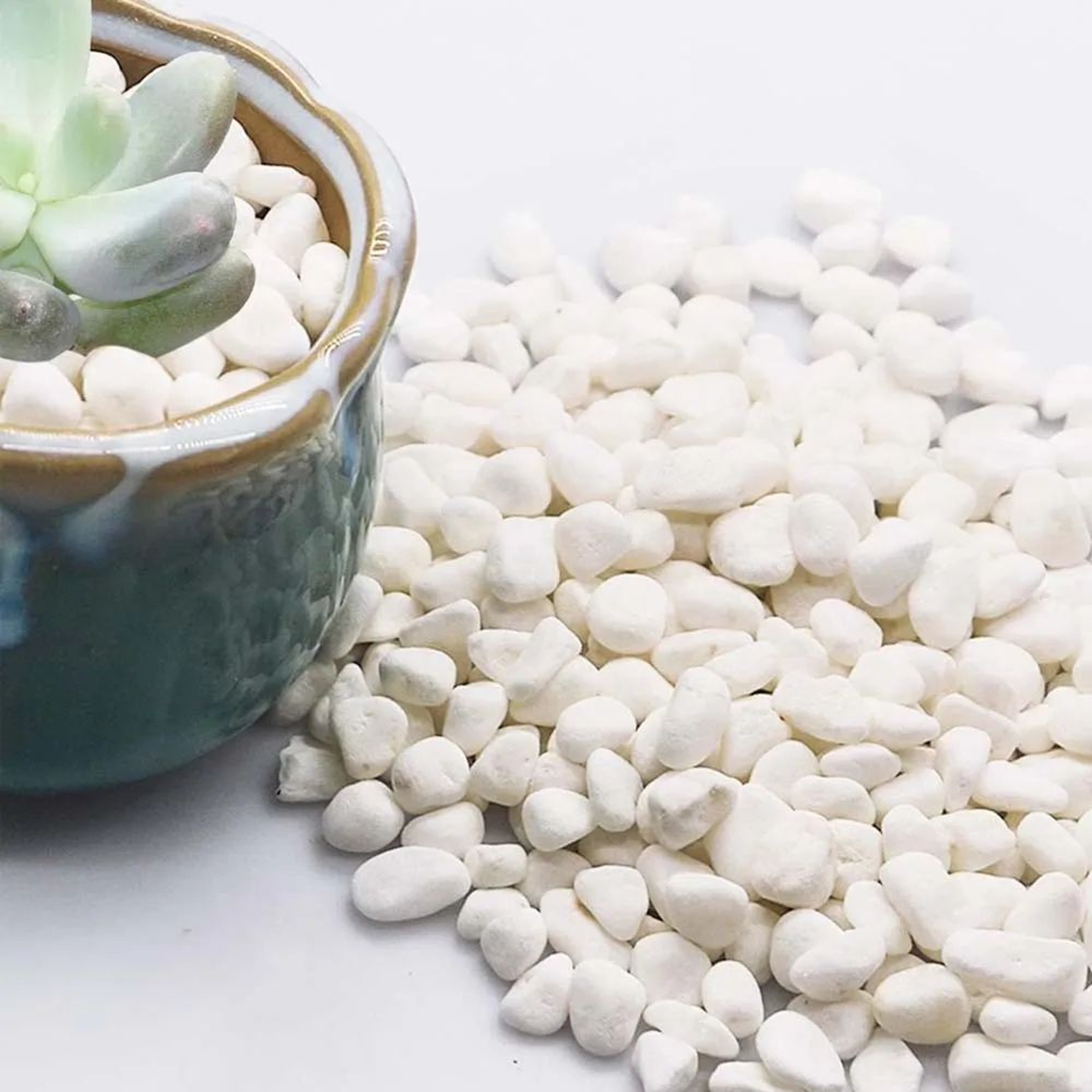 Natural Polished Decorative Garden Pebbles For Succulents Aquariums  Vase Styling 1