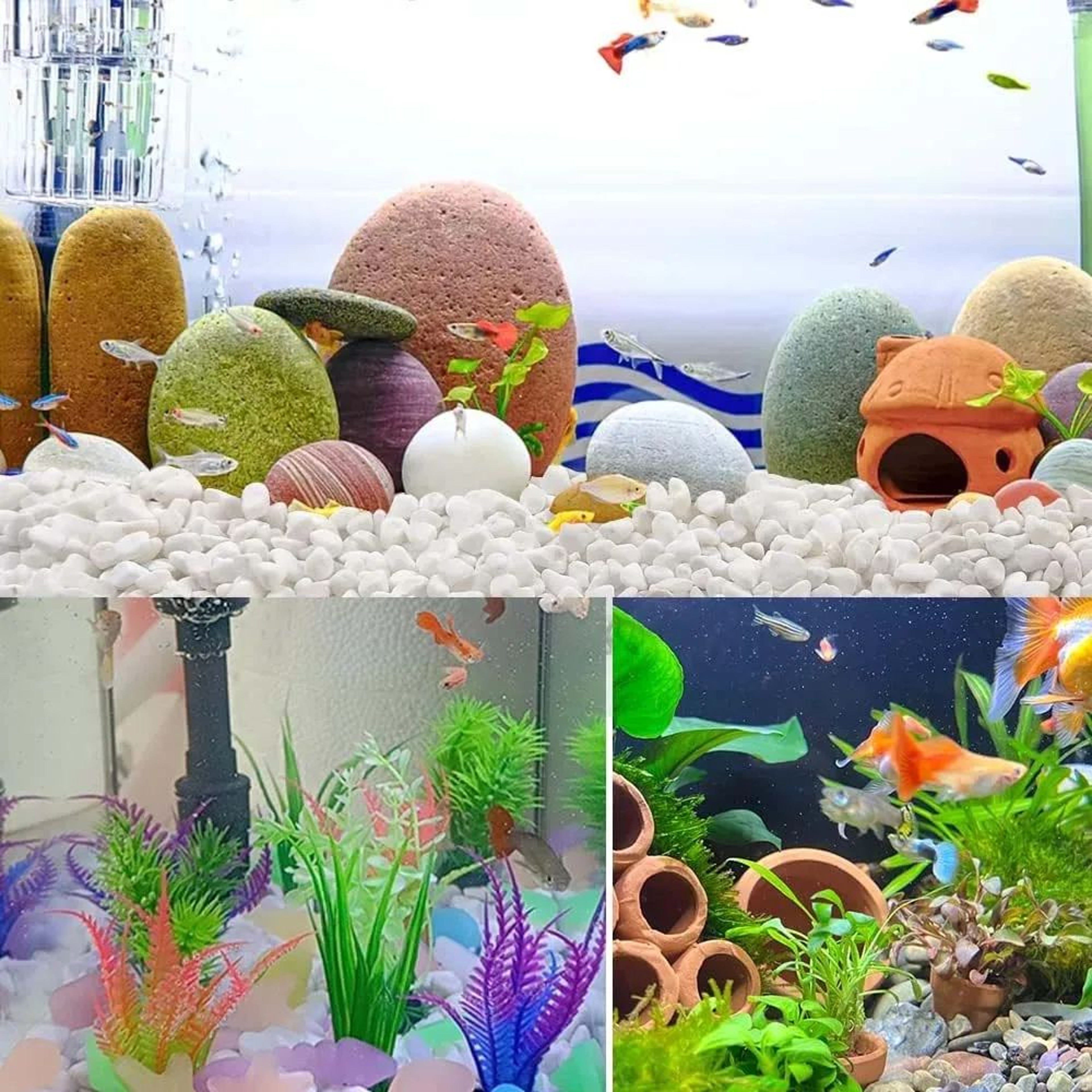 Natural Polished Decorative Garden Pebbles For Succulents Aquariums  Vase Styling 4