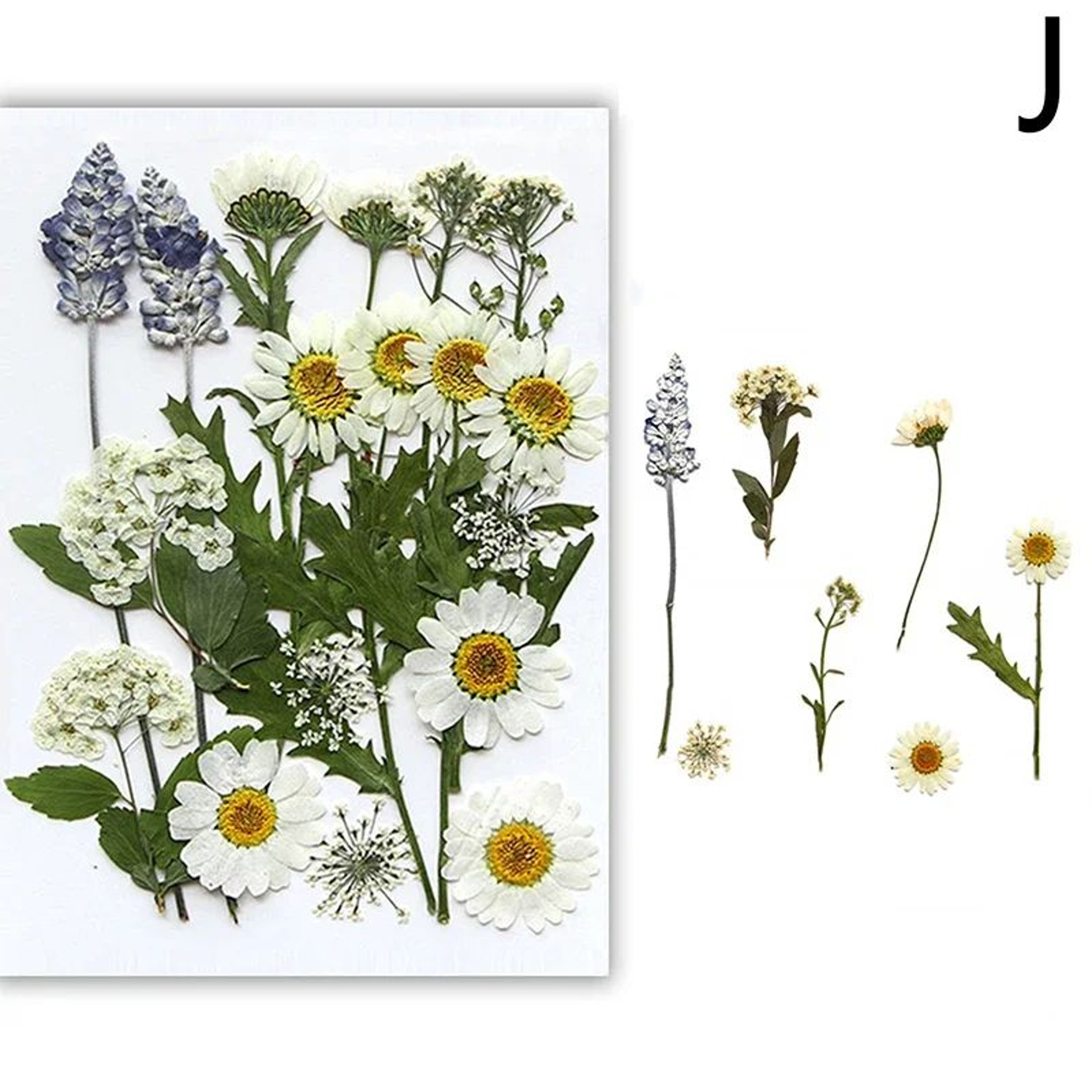 Real Dried Flower Resin Fillers For Nail Art Jewelry  DIY Crafts 14