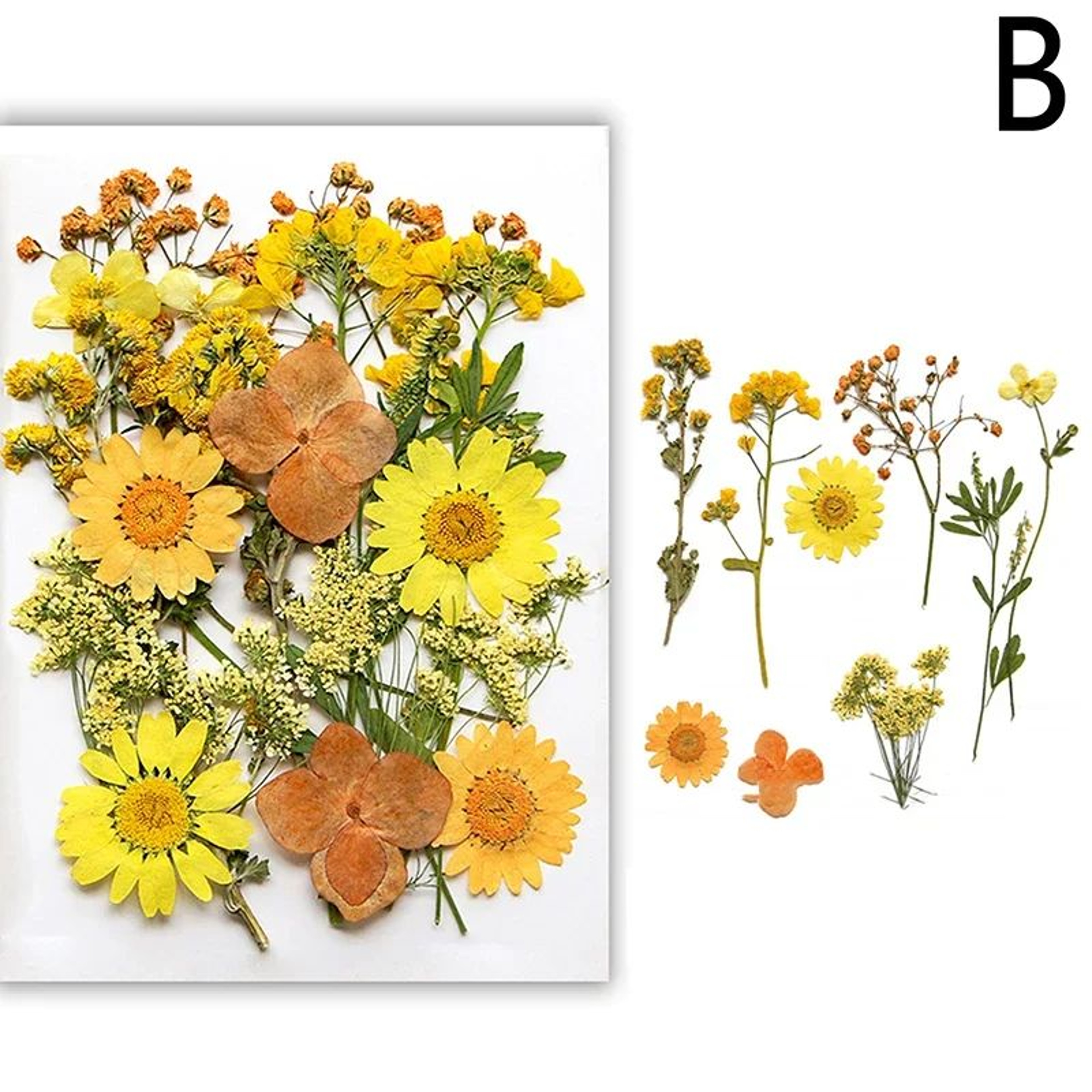 Real Dried Flower Resin Fillers For Nail Art Jewelry  DIY Crafts 6
