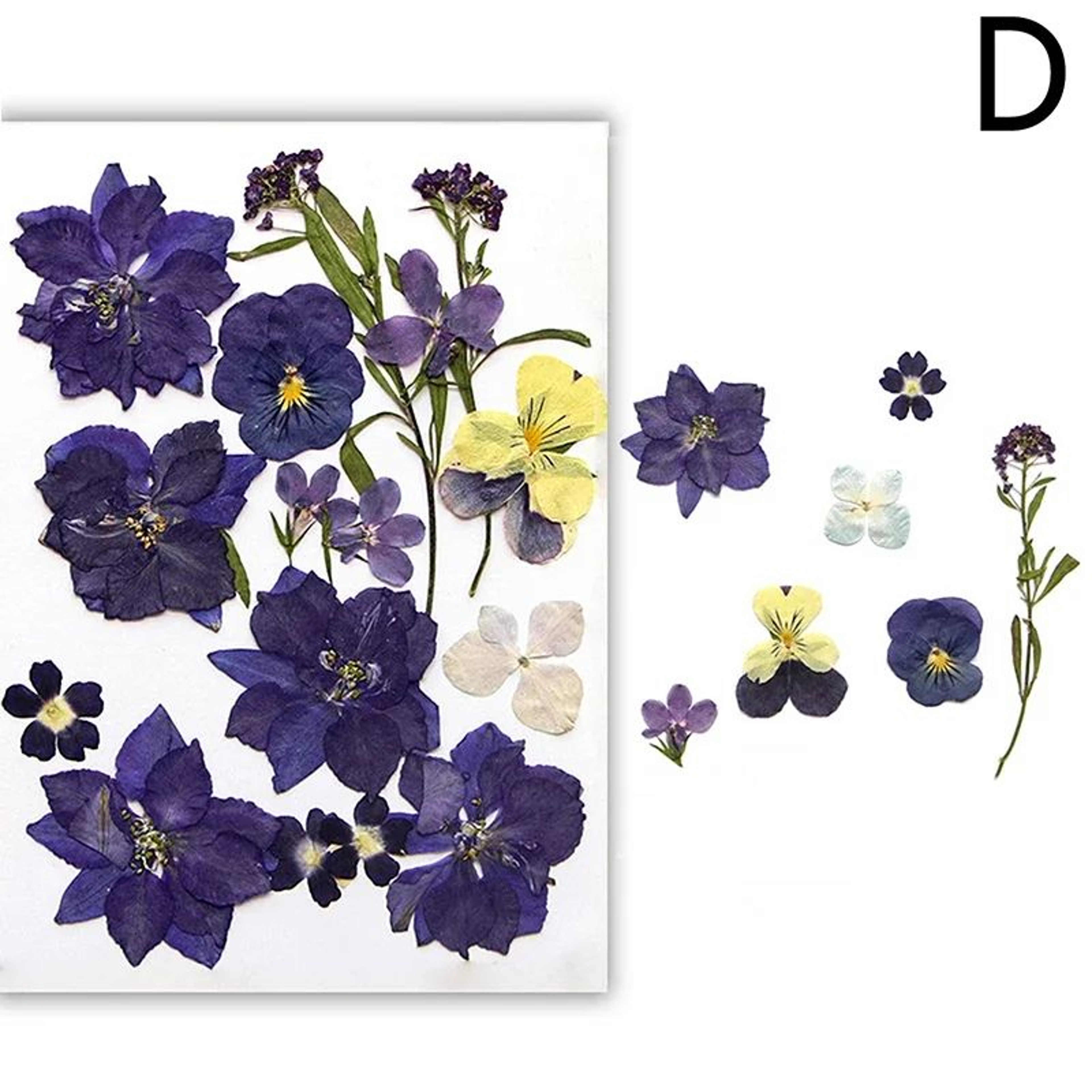 Real Dried Flower Resin Fillers For Nail Art Jewelry  DIY Crafts 8