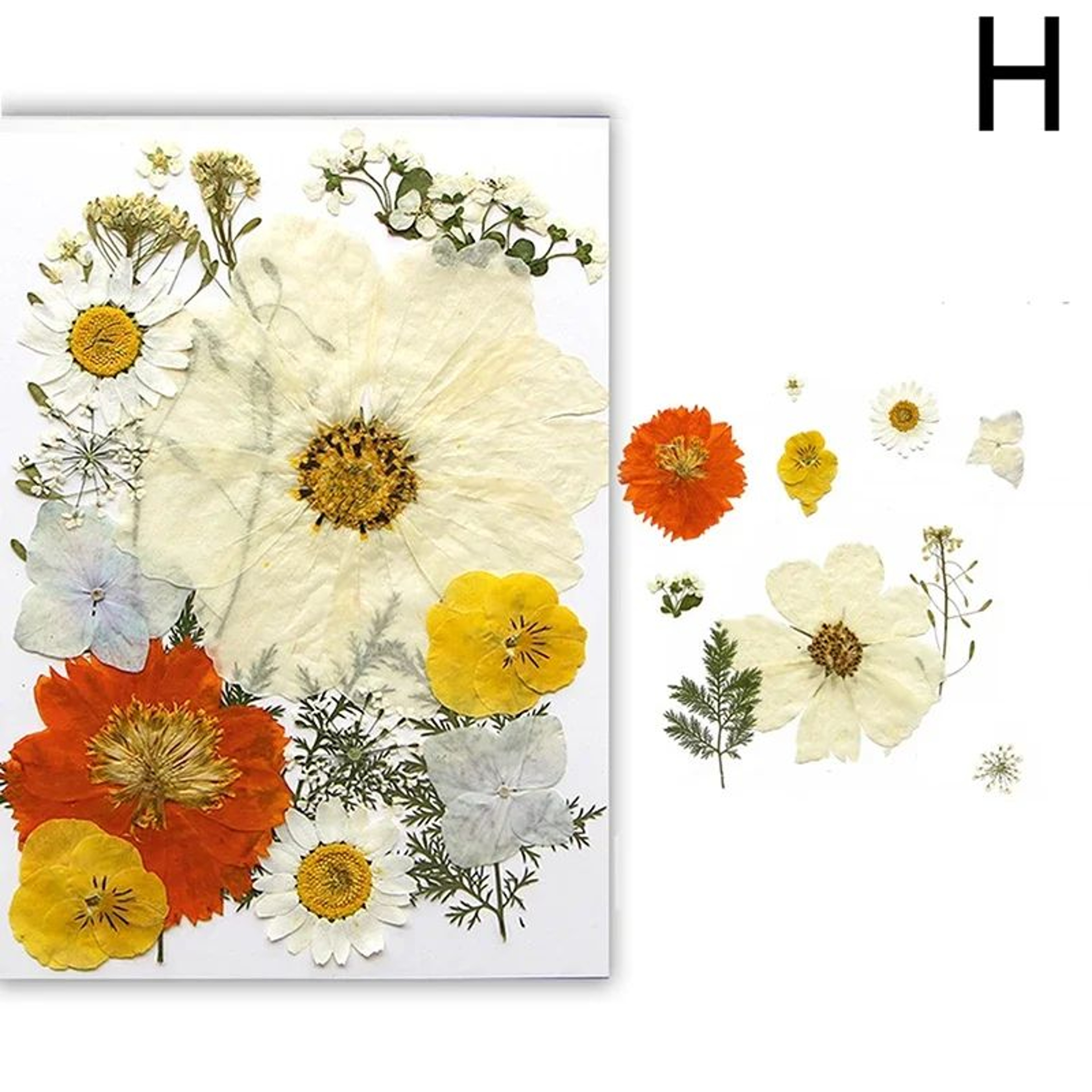 Real Dried Flower Resin Fillers For Nail Art Jewelry  DIY Crafts 12