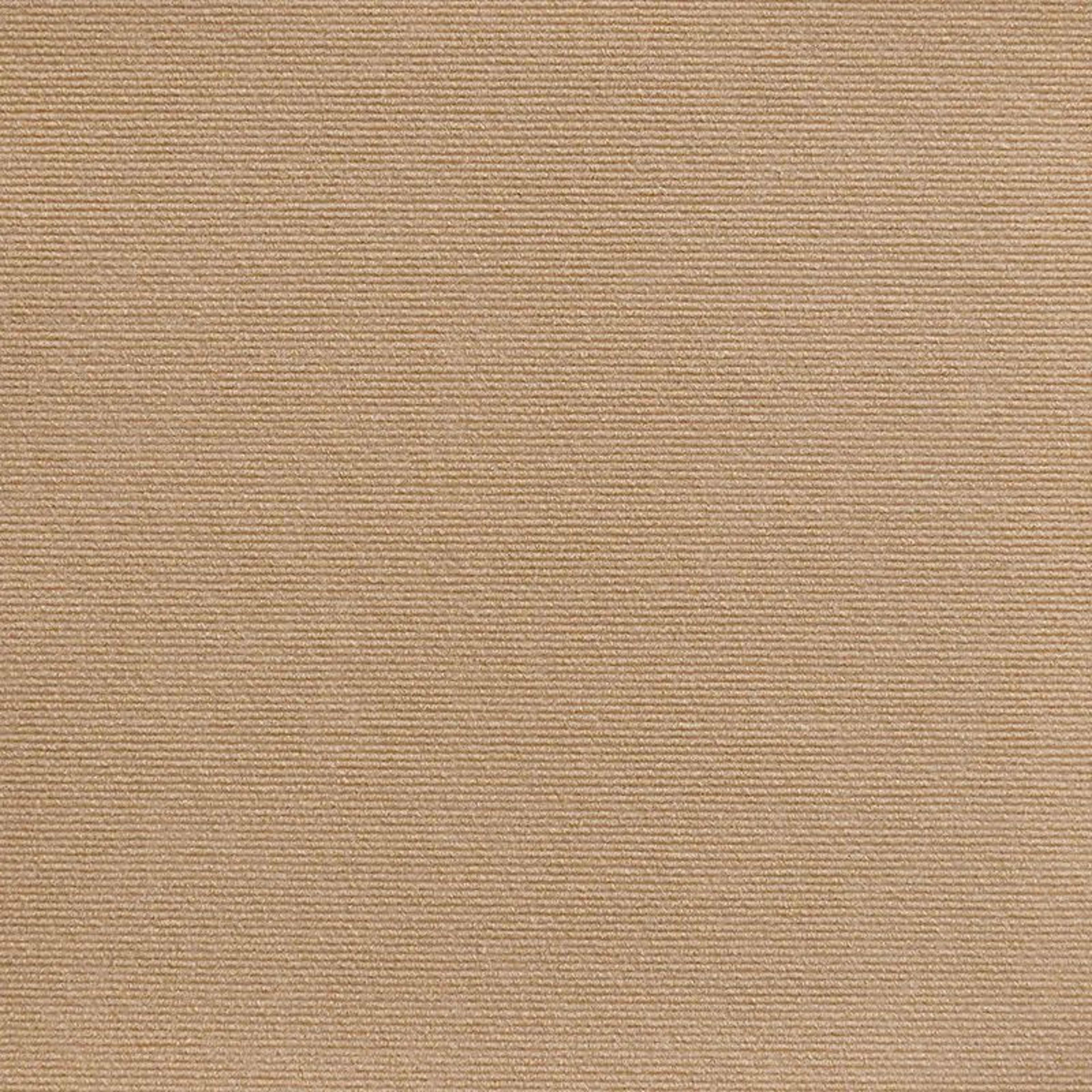 SelfAdhesive Cat Scratch Mat Furniture Protector Carpet 10