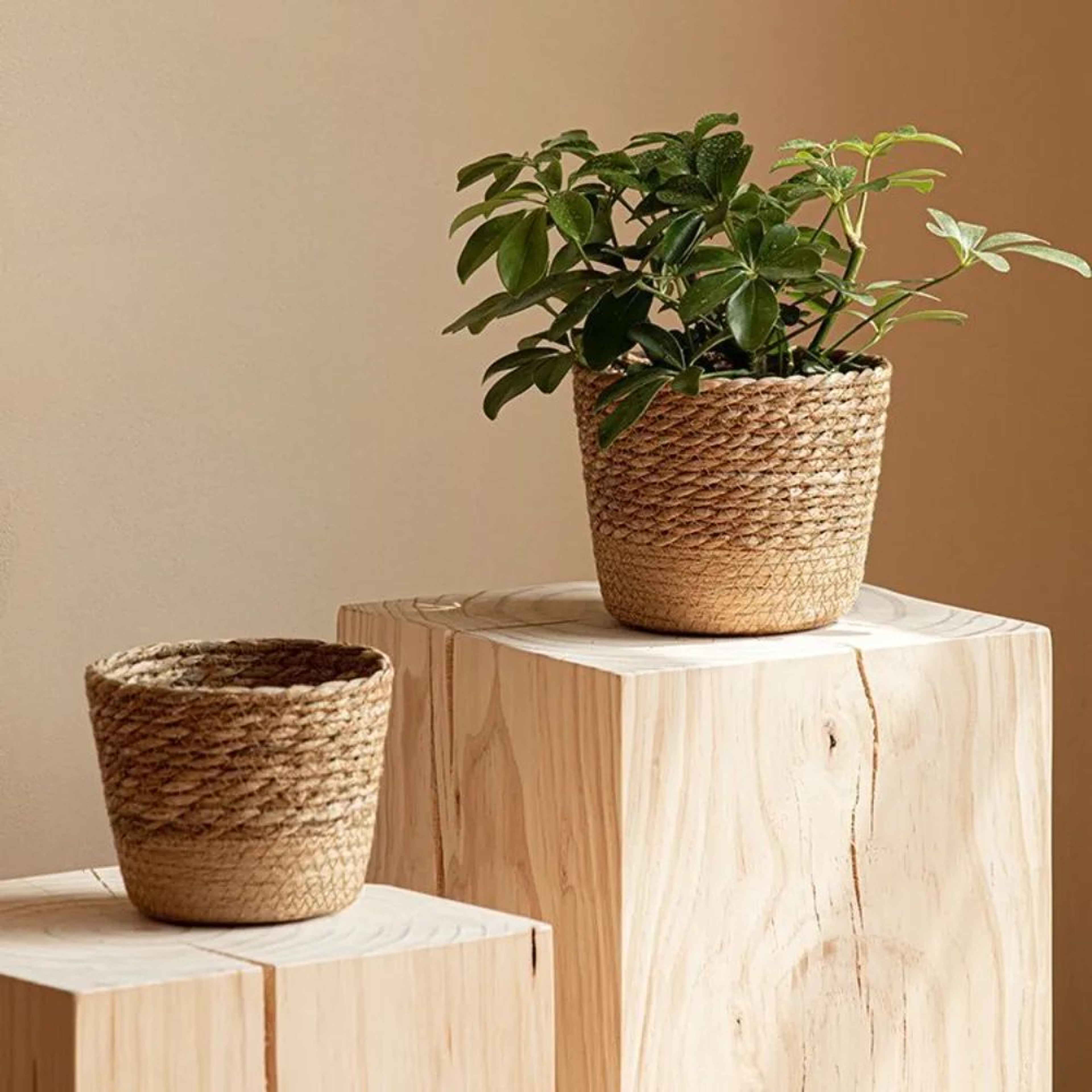 Handmade Woven Planter Basket  Rustic Rattan Plant Pot For Stylish Indoor  Outdoor Decor 3