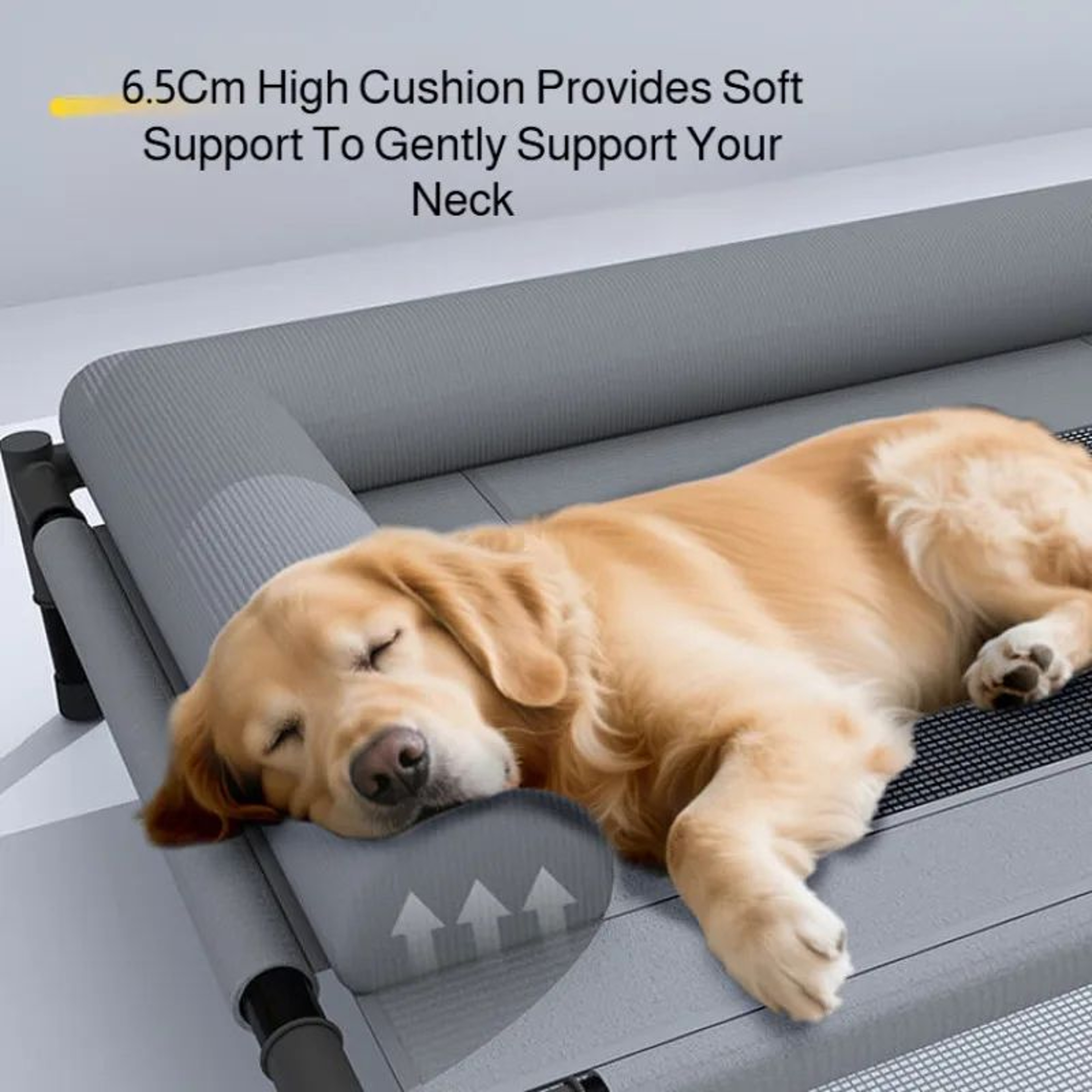 Cooling Elevated Dog Bed With Breathable Mesh Pet Bed Support 5