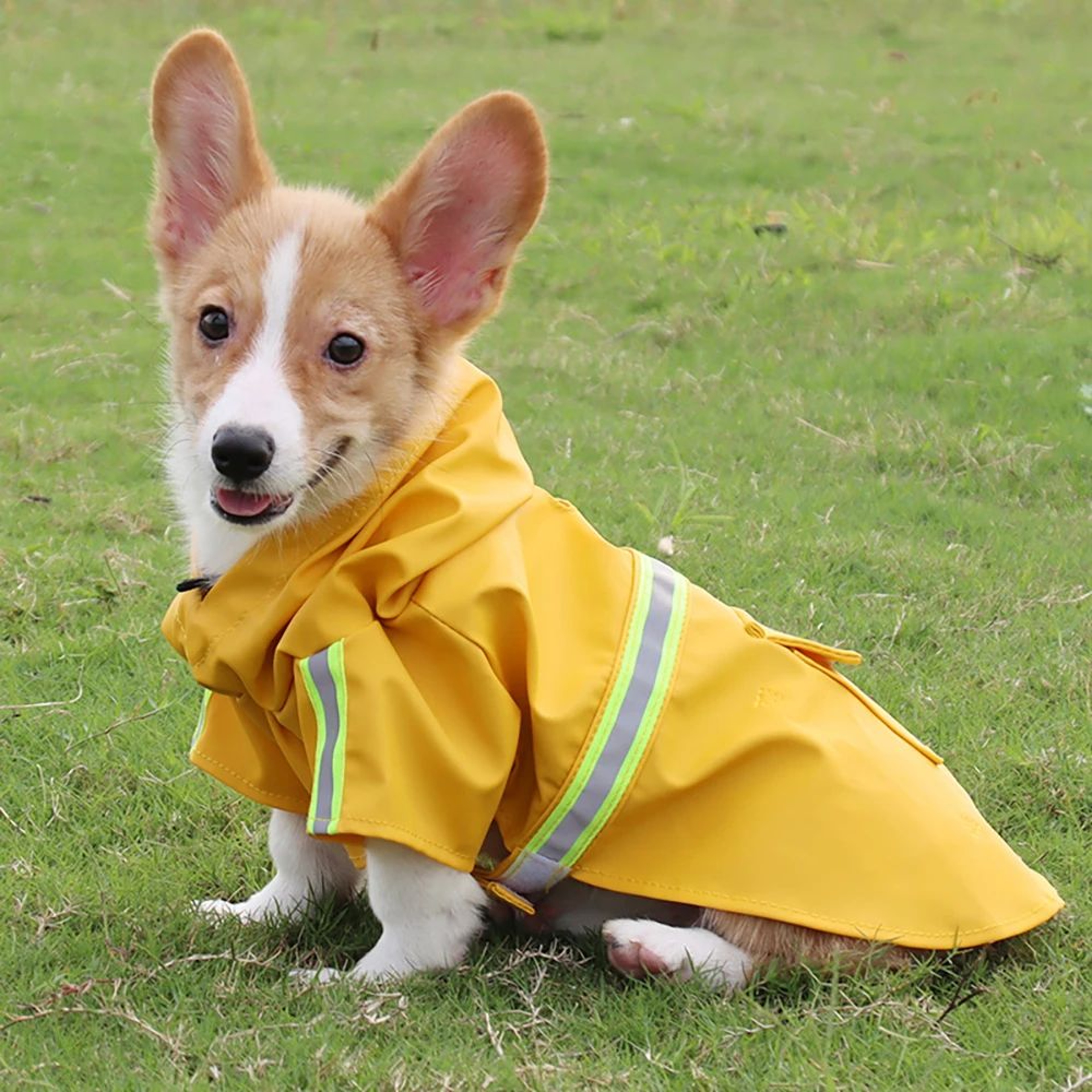 Reflective Waterproof Dog Raincoat With Hood 4