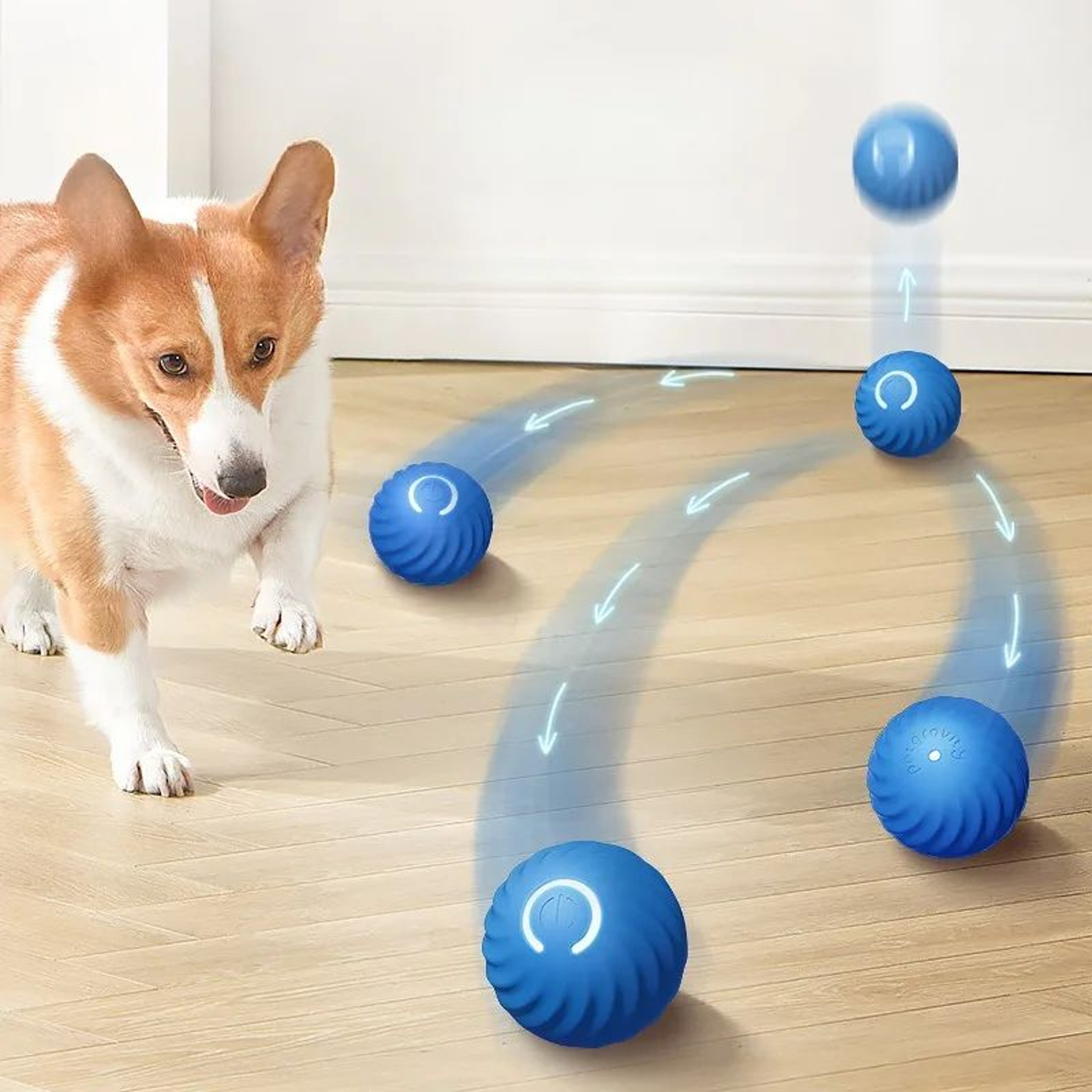 Automatic Dog Ball Smart USB Interactive Dog Toy For Puppies 2