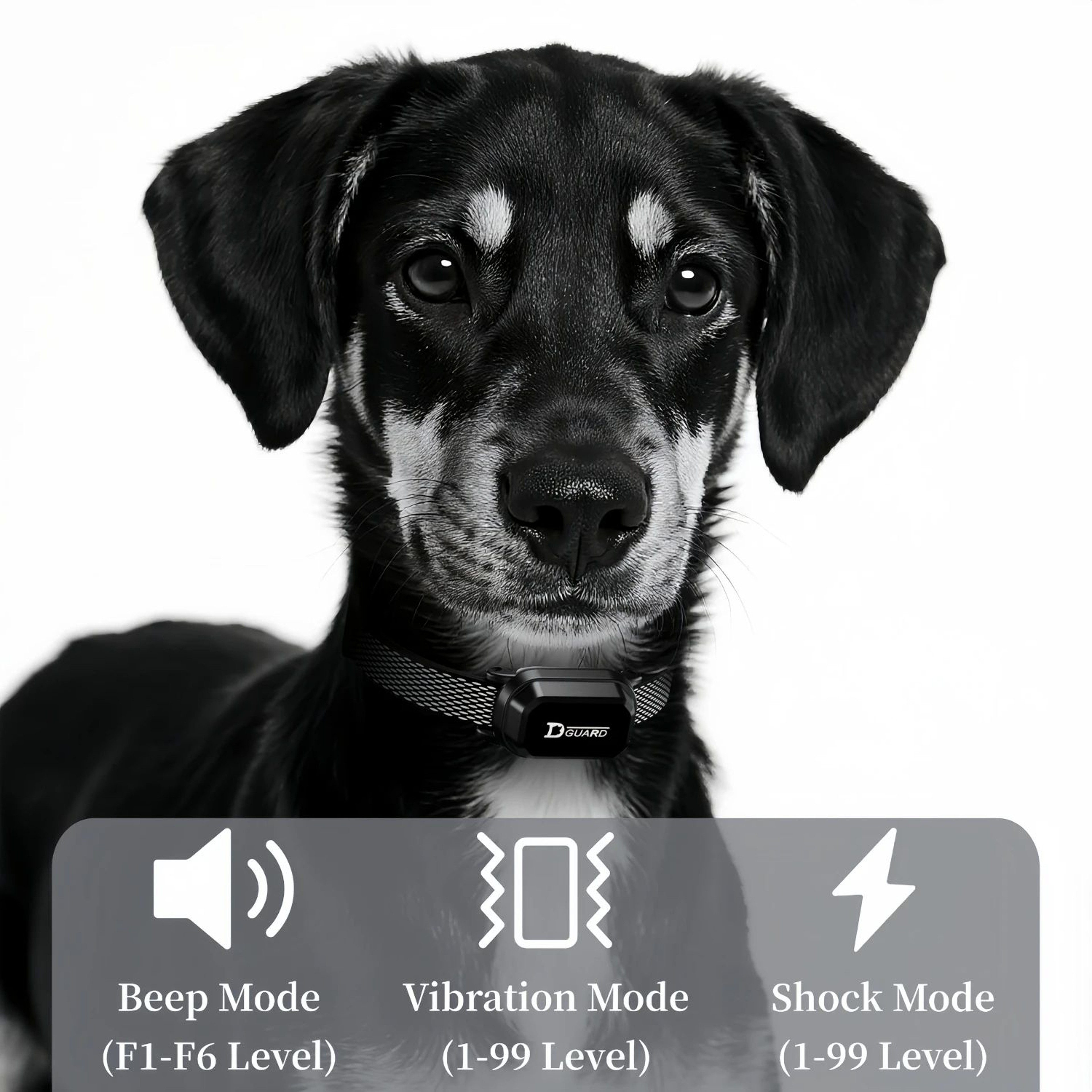 3300FT Waterproof Remote Dog Training Collar For Small To Large Dogs 3