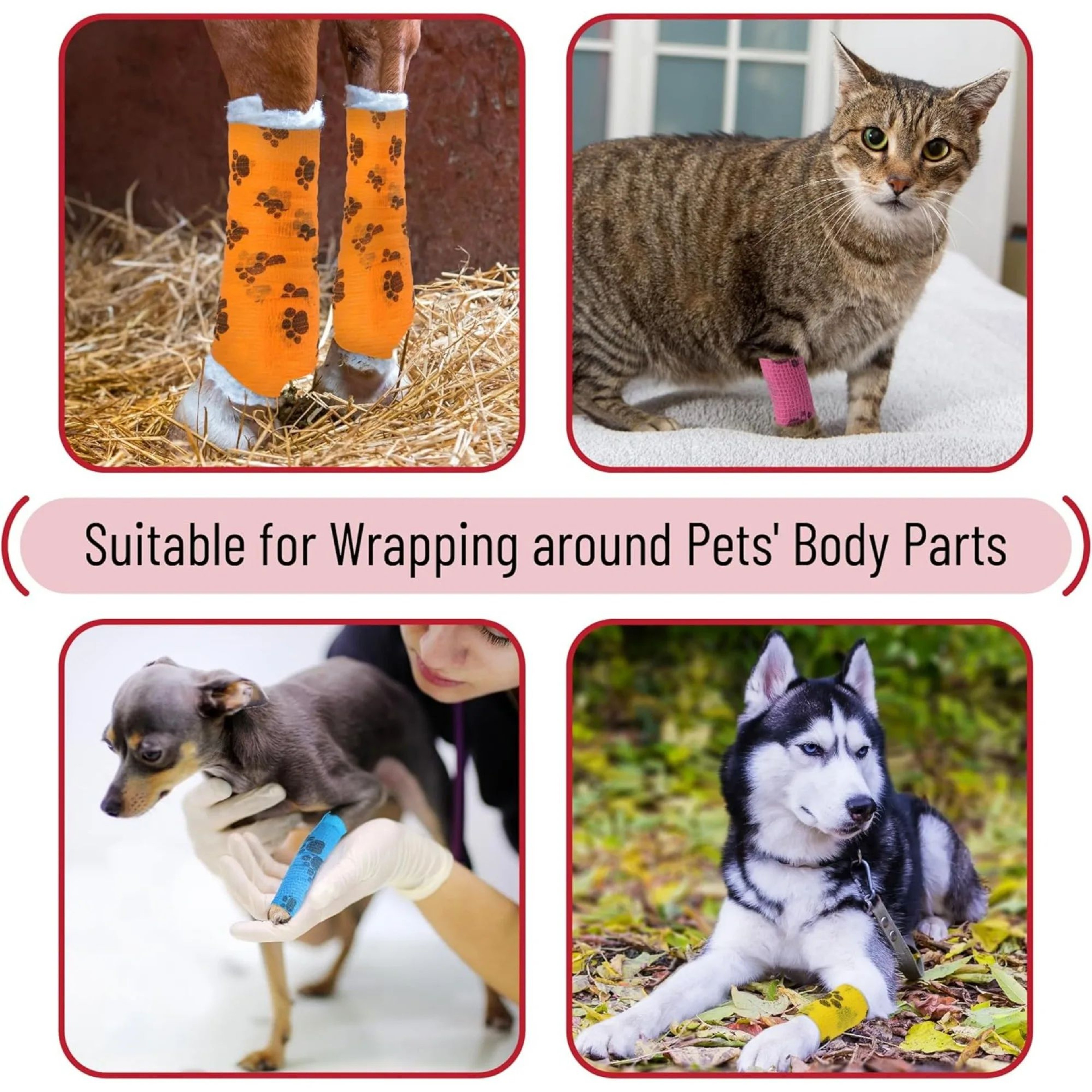 PetFlex SelfAdhesive Cat And Dog Bandage Wrap 4