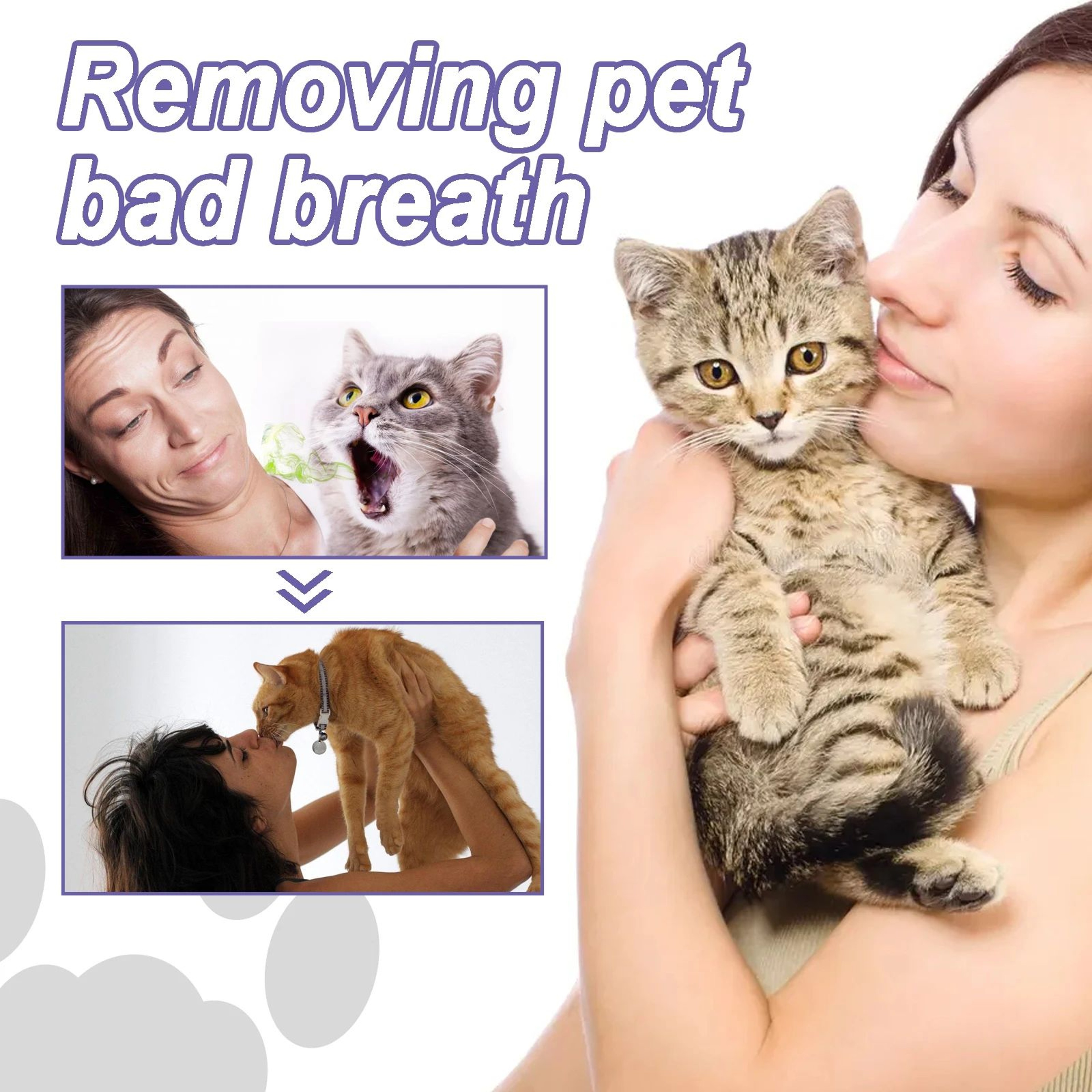 FreshSmile Pet Dental Gel Pen For Dogs And Cats 3
