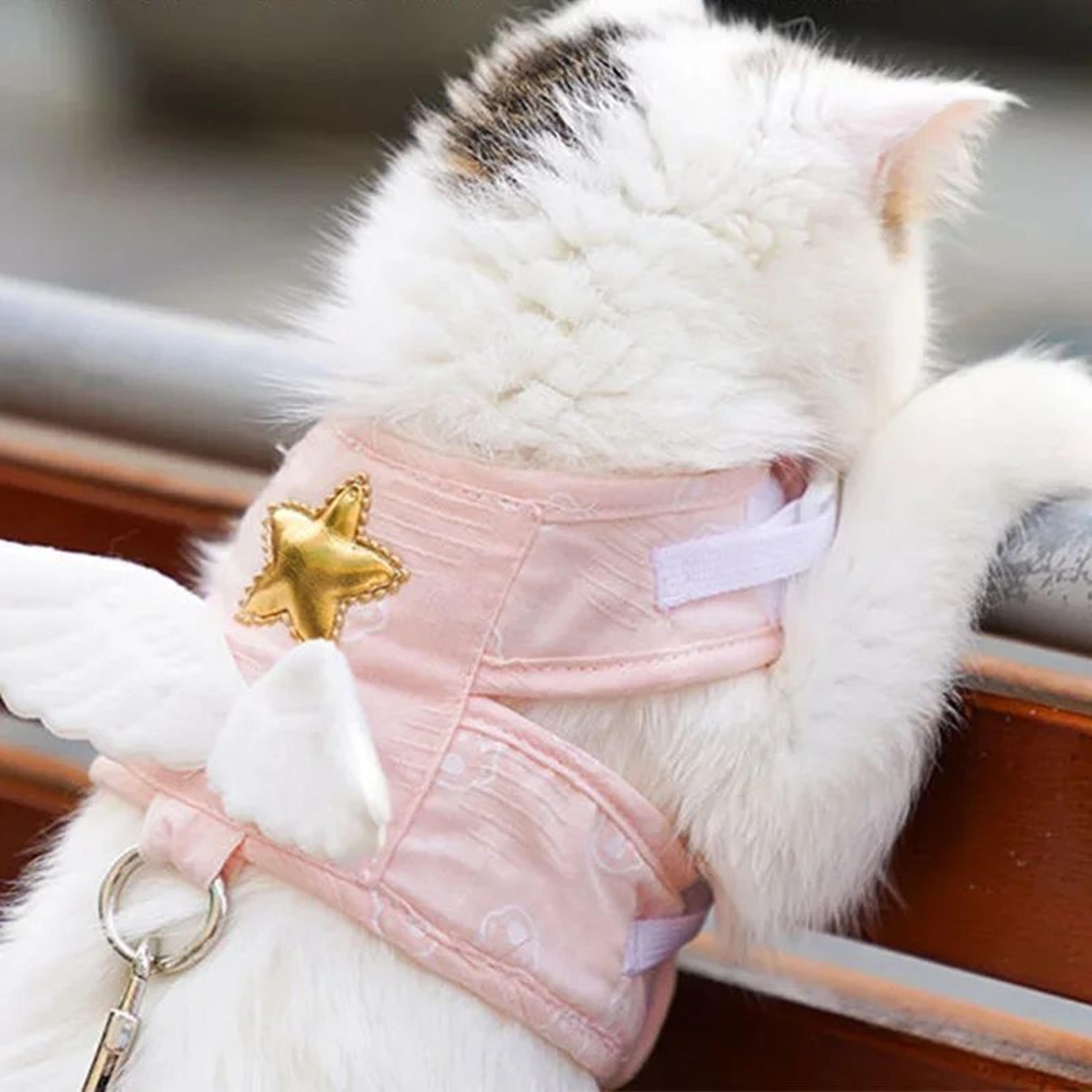 Angel Wings Pet Harness With Leash Set For Cats  Small Dogs 0