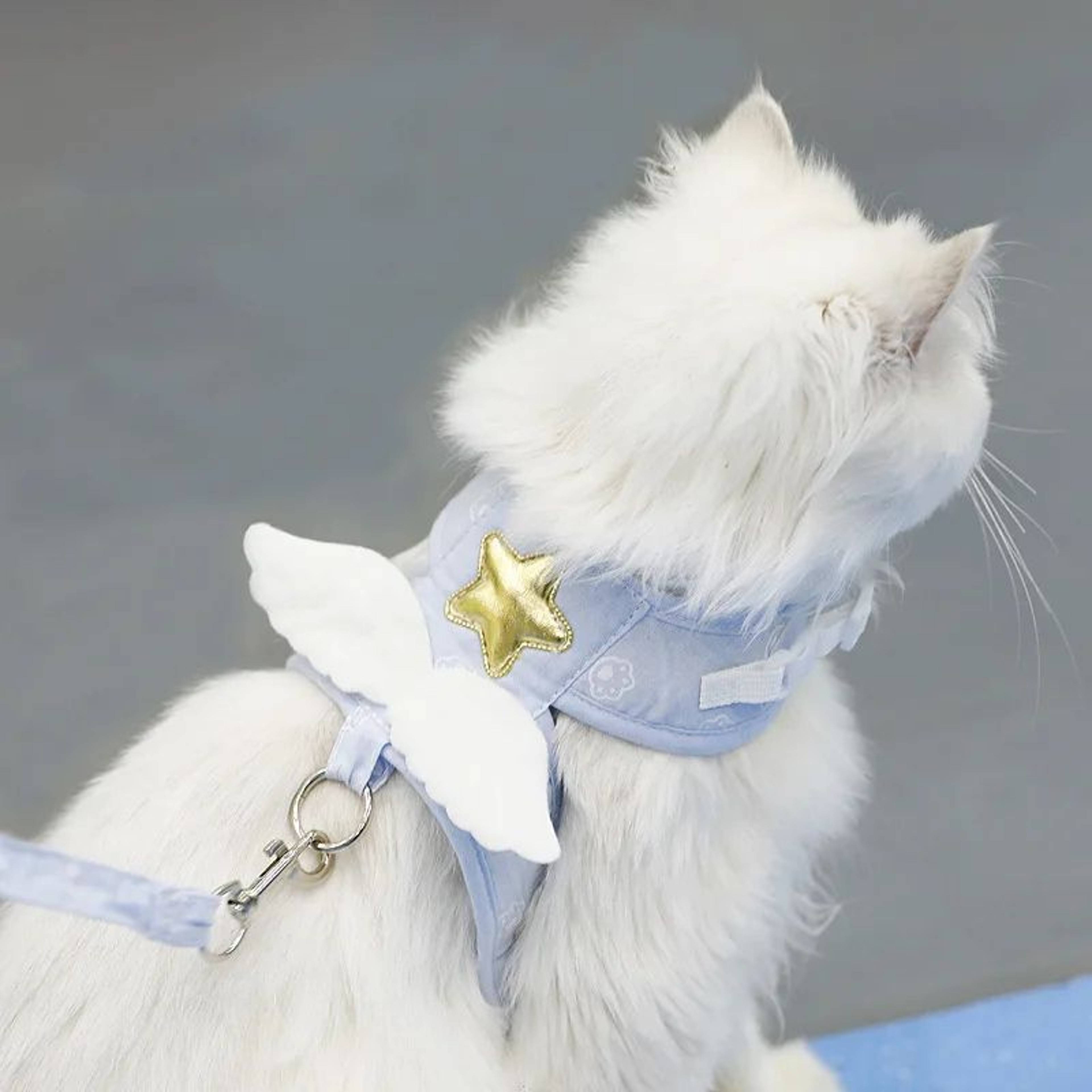 Angel Wings Pet Harness With Leash Set For Cats  Small Dogs 1