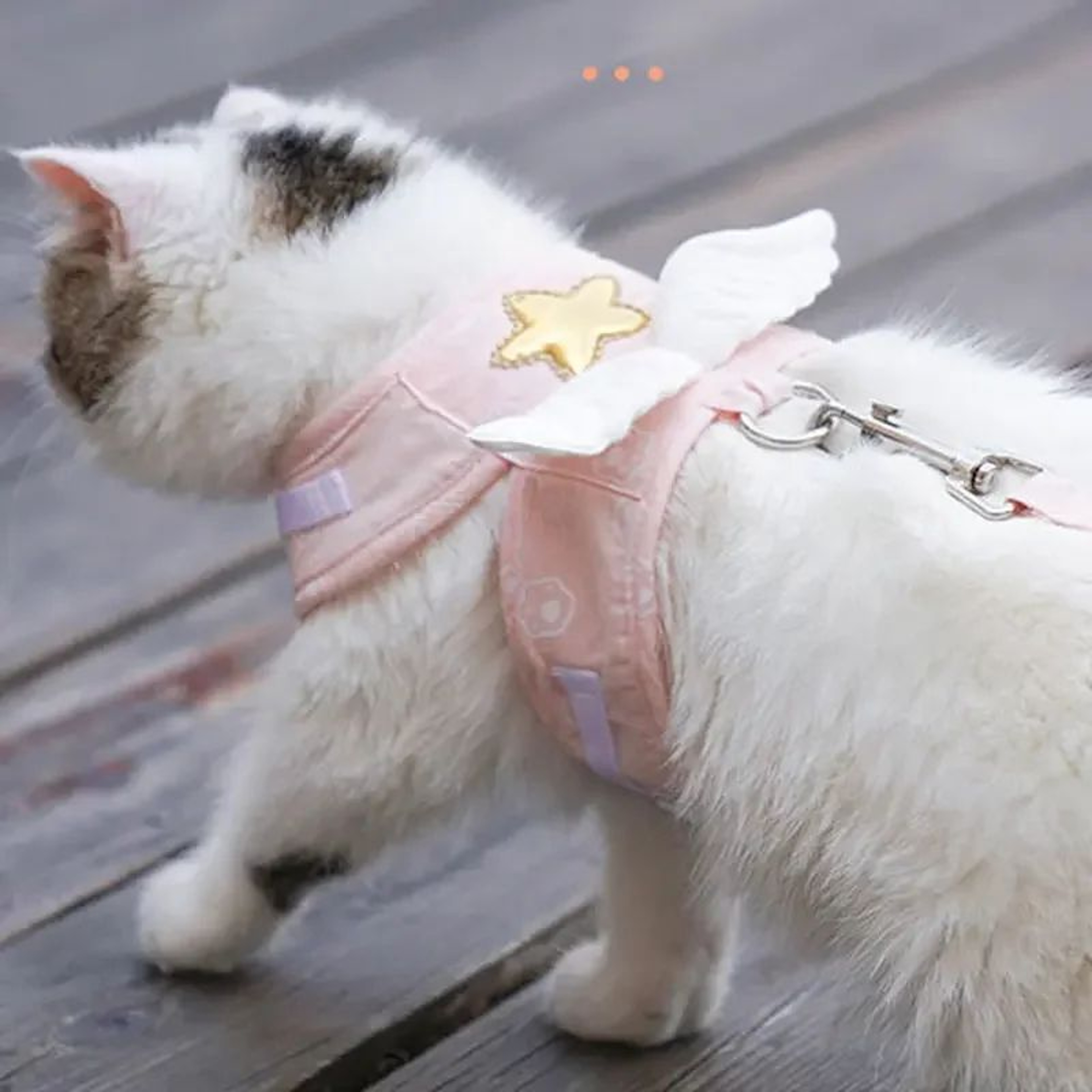 Angel Wings Pet Harness With Leash Set For Cats  Small Dogs 3