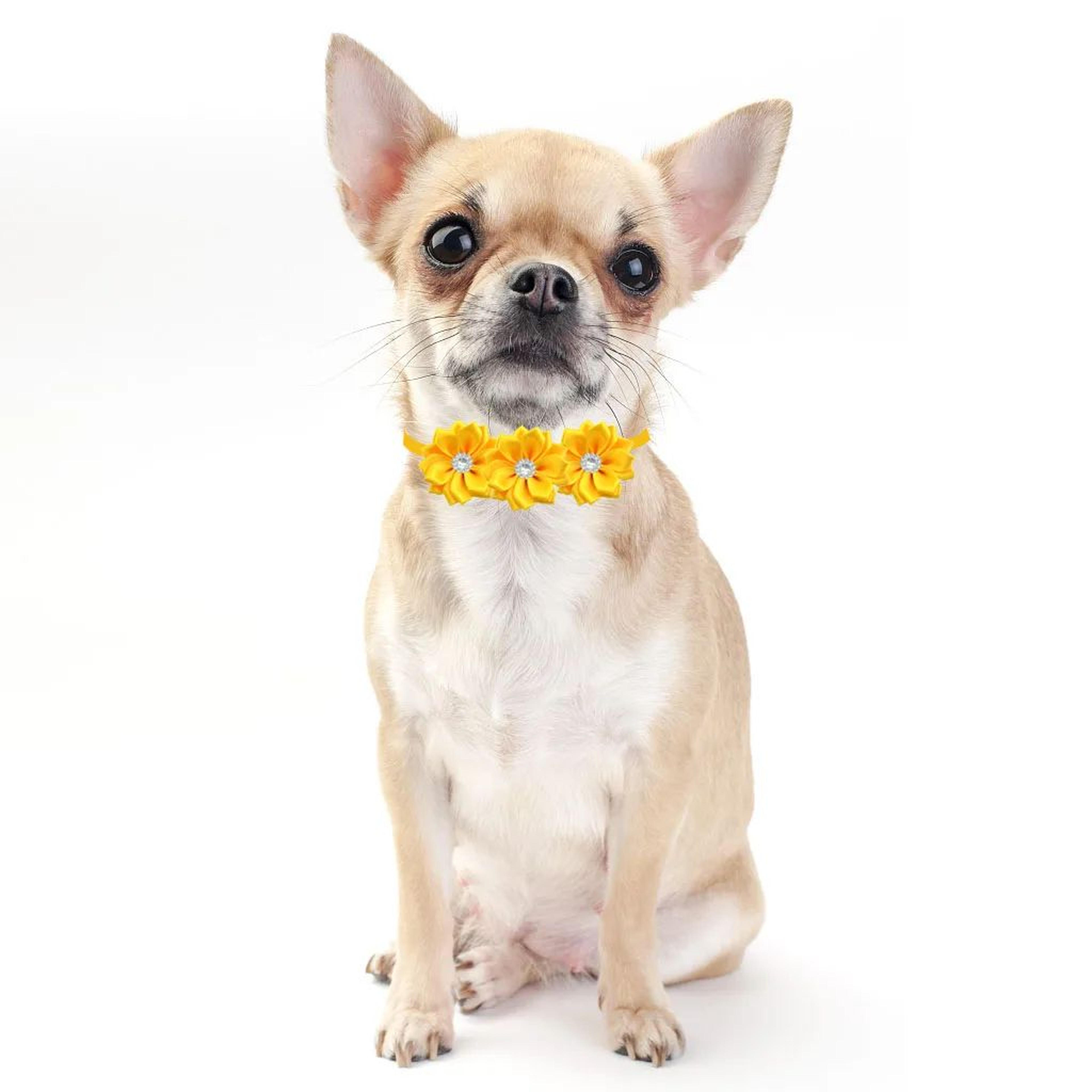 Bulk Floral Rhinestone Dog Bow Tie Collar Charms 4