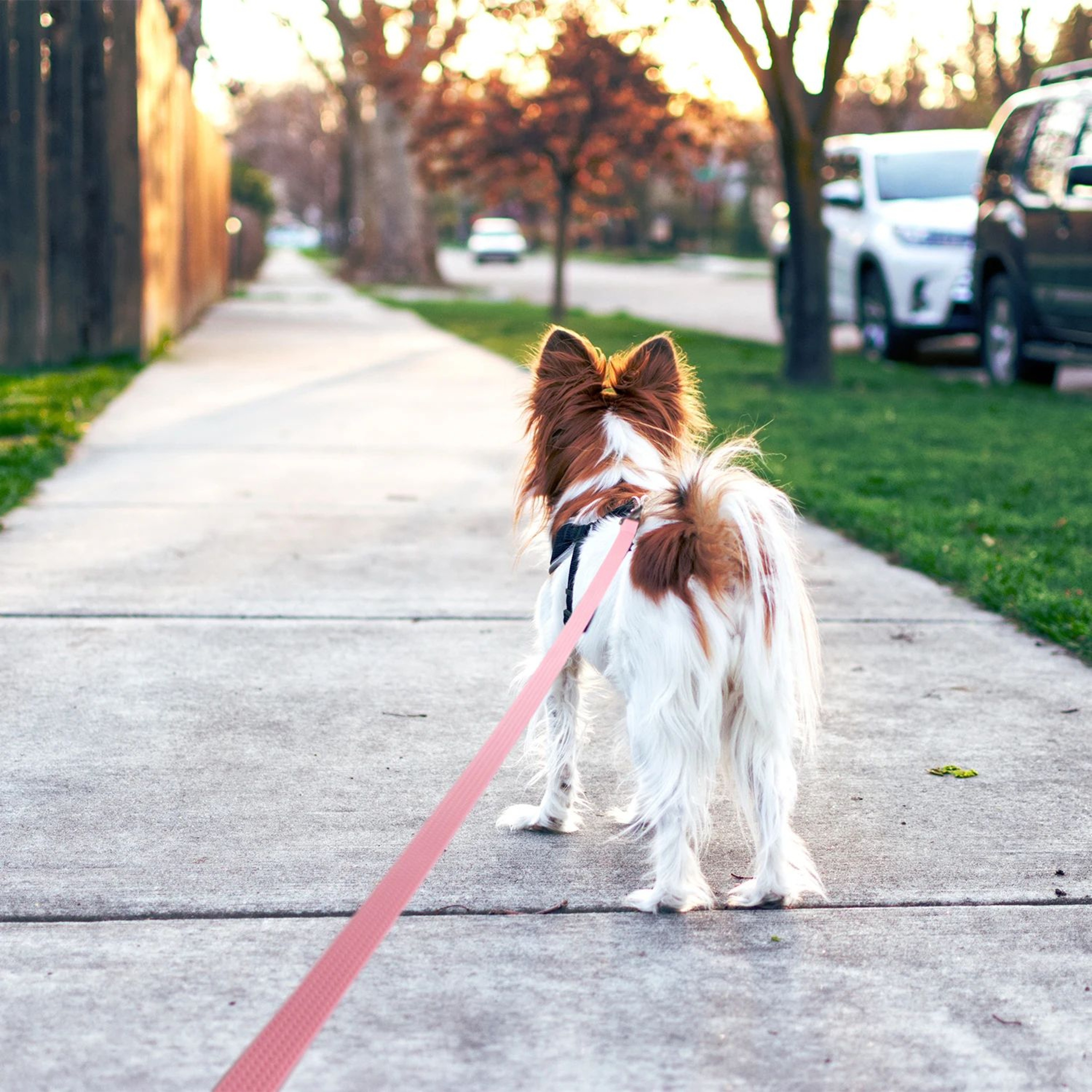 Waterproof PVC Dog Training Leash For Large  Medium Dogs 5