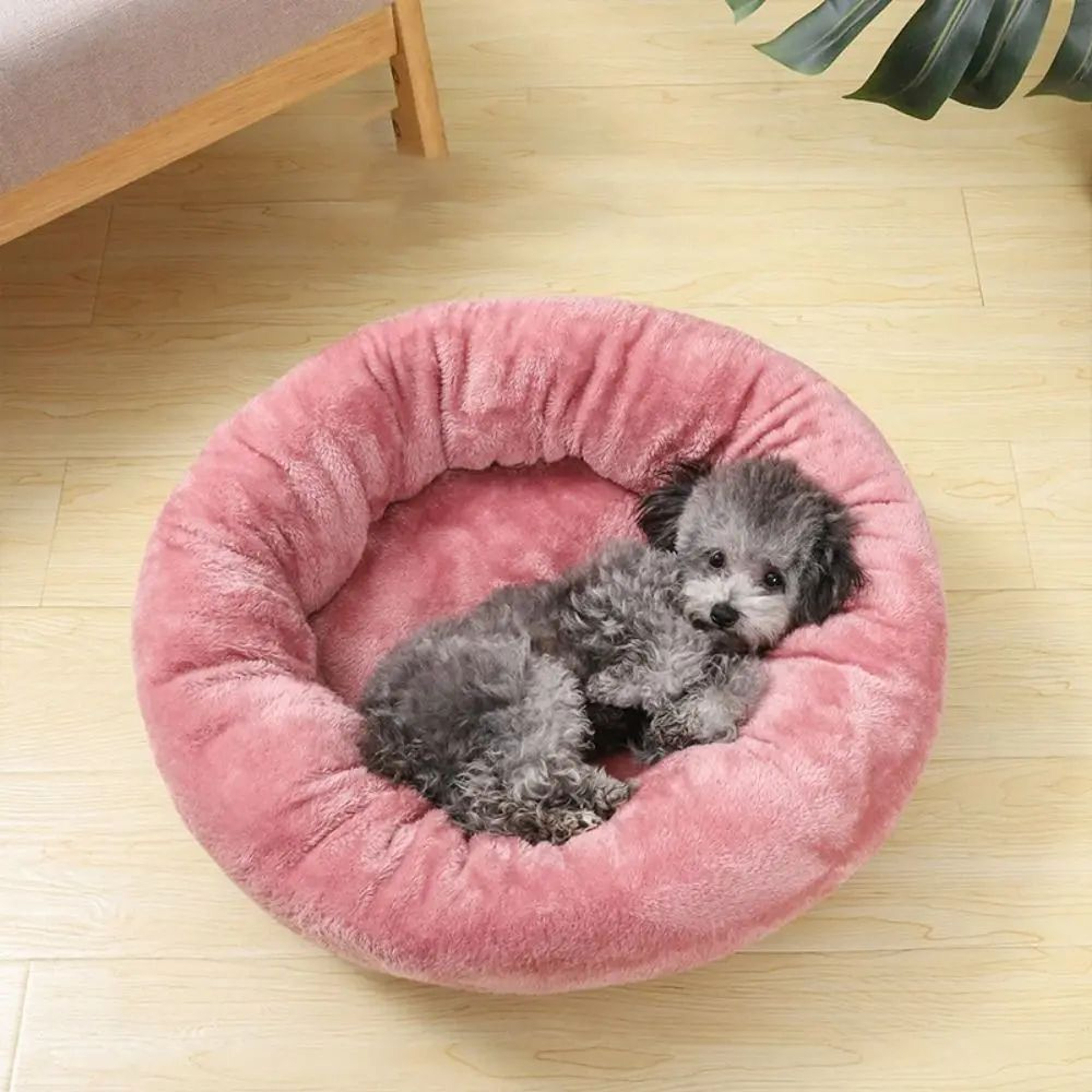 Calming Plush Donut Dog Bed For Dogs  Cats  Washable Cozy Pet Nest Cushion 3