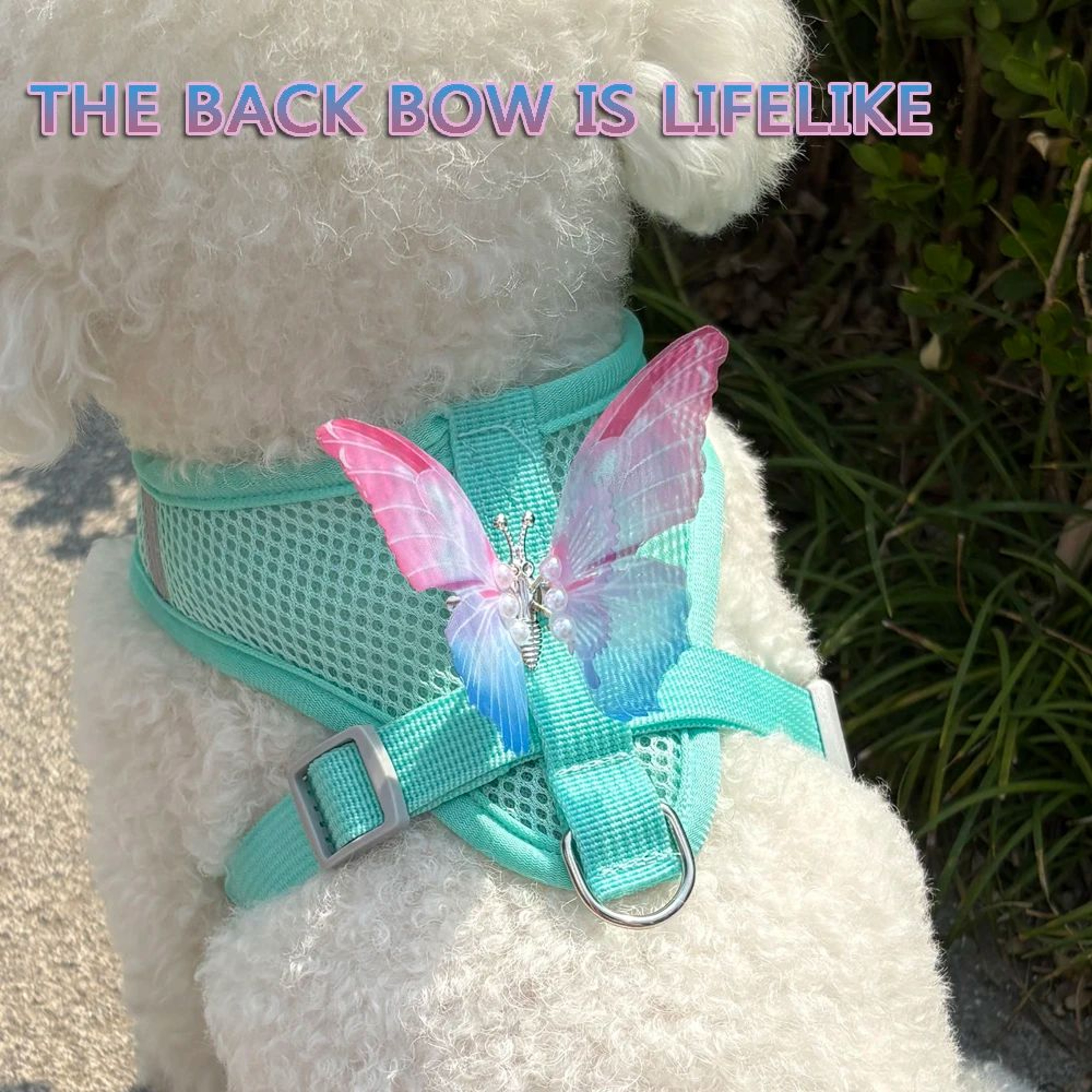 PurrFit Cat Harness And Leash Set For Small Cats  Puppies 2