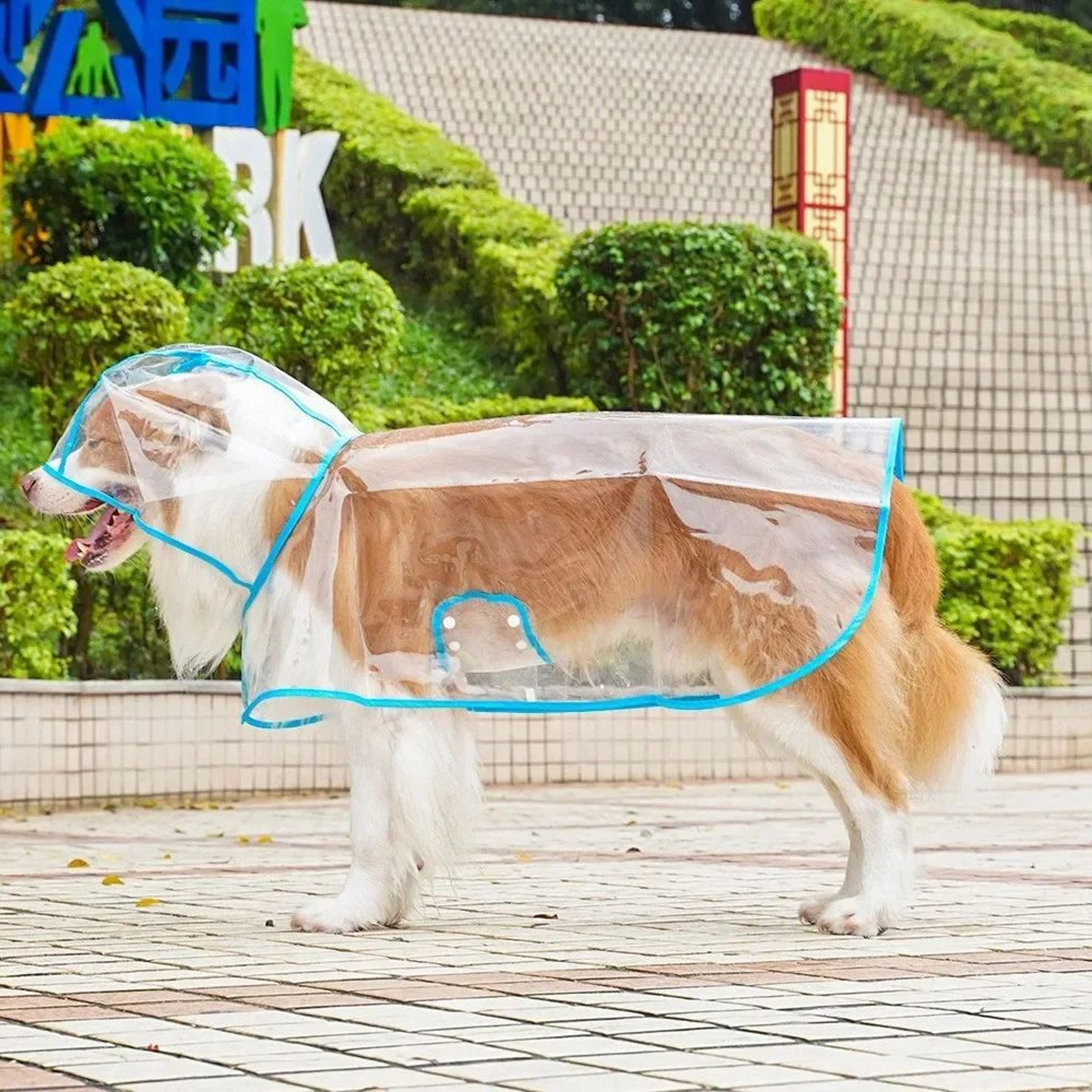 ClearShield Waterproof Dog Raincoat For Small  Large Dogs 11
