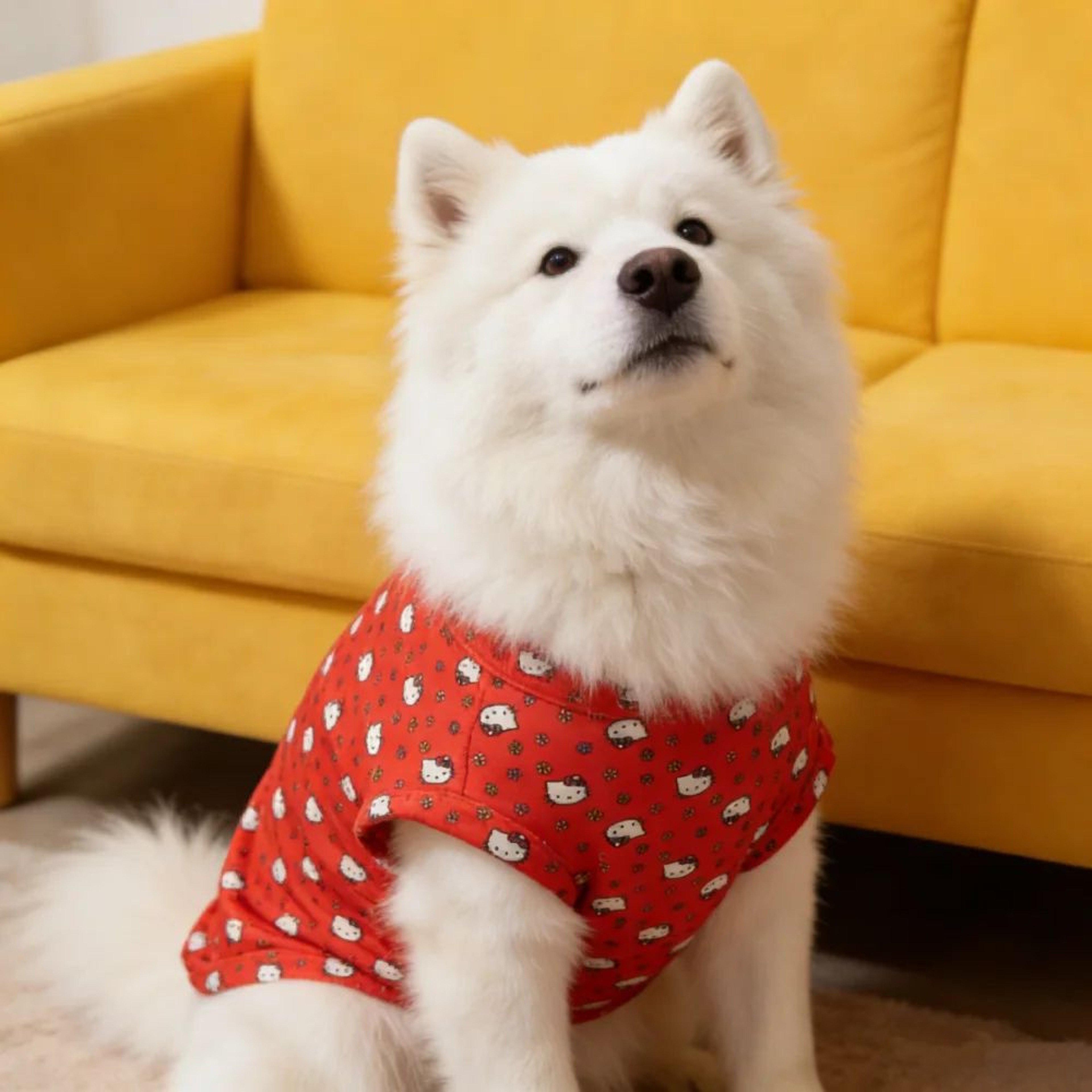 SanrioInspired Cute Sleeveless Pet Vest For Dogs And Cats 1