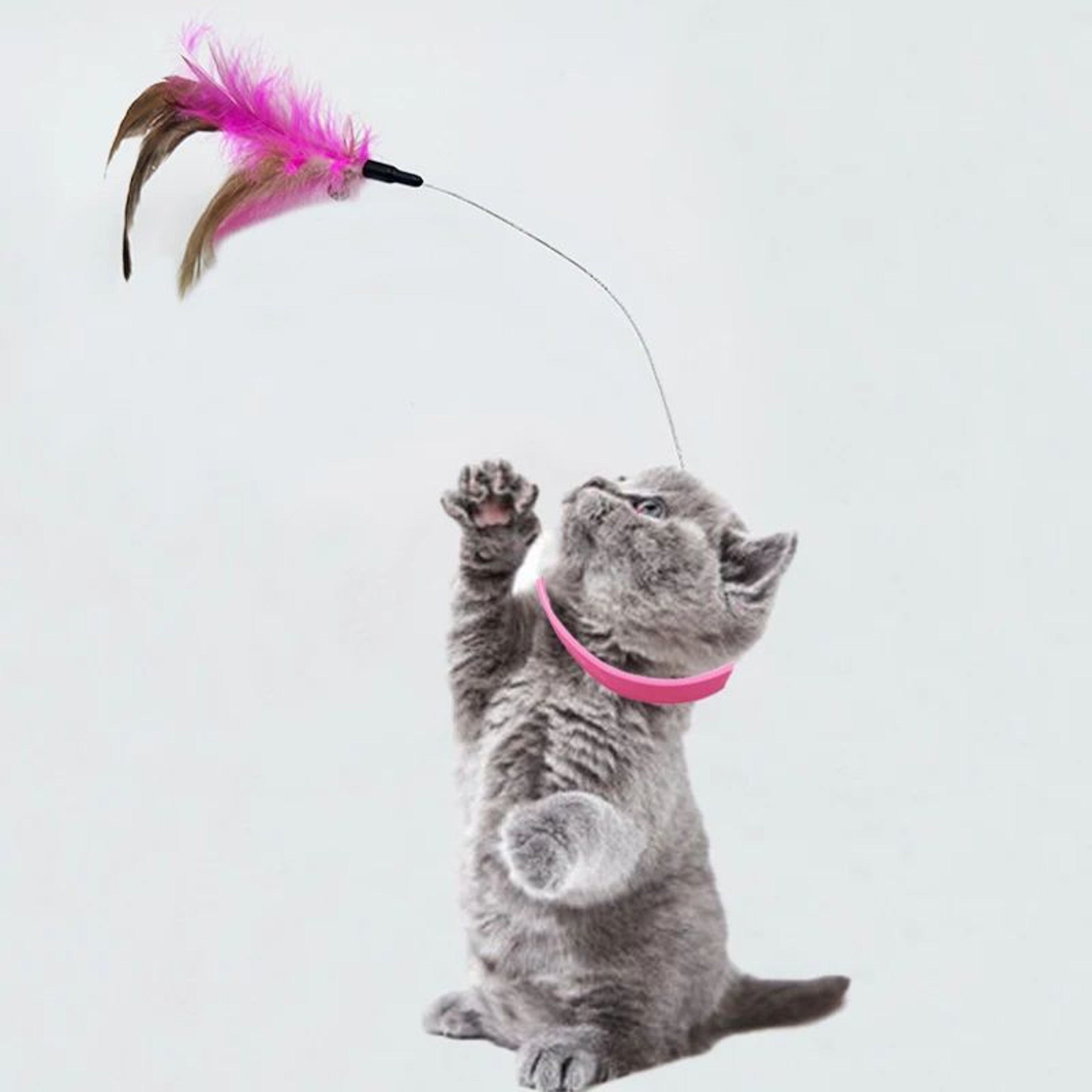 Interactive Cat Toy Feather Bell Collar For Indoor SelfPlay 1