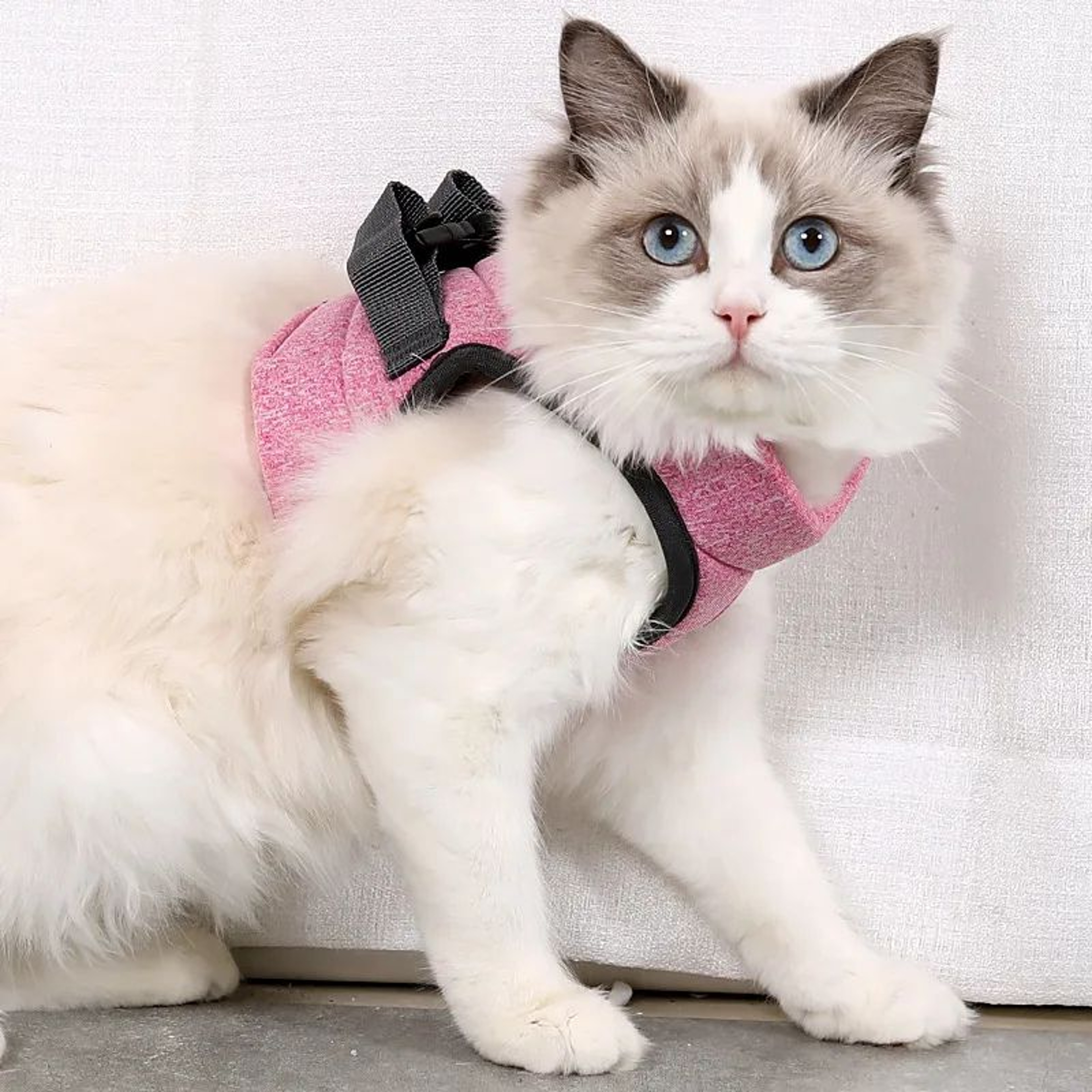 PurrSafe Adjustable Cat Harness And Leash Set For Kittens  Small Cats 7