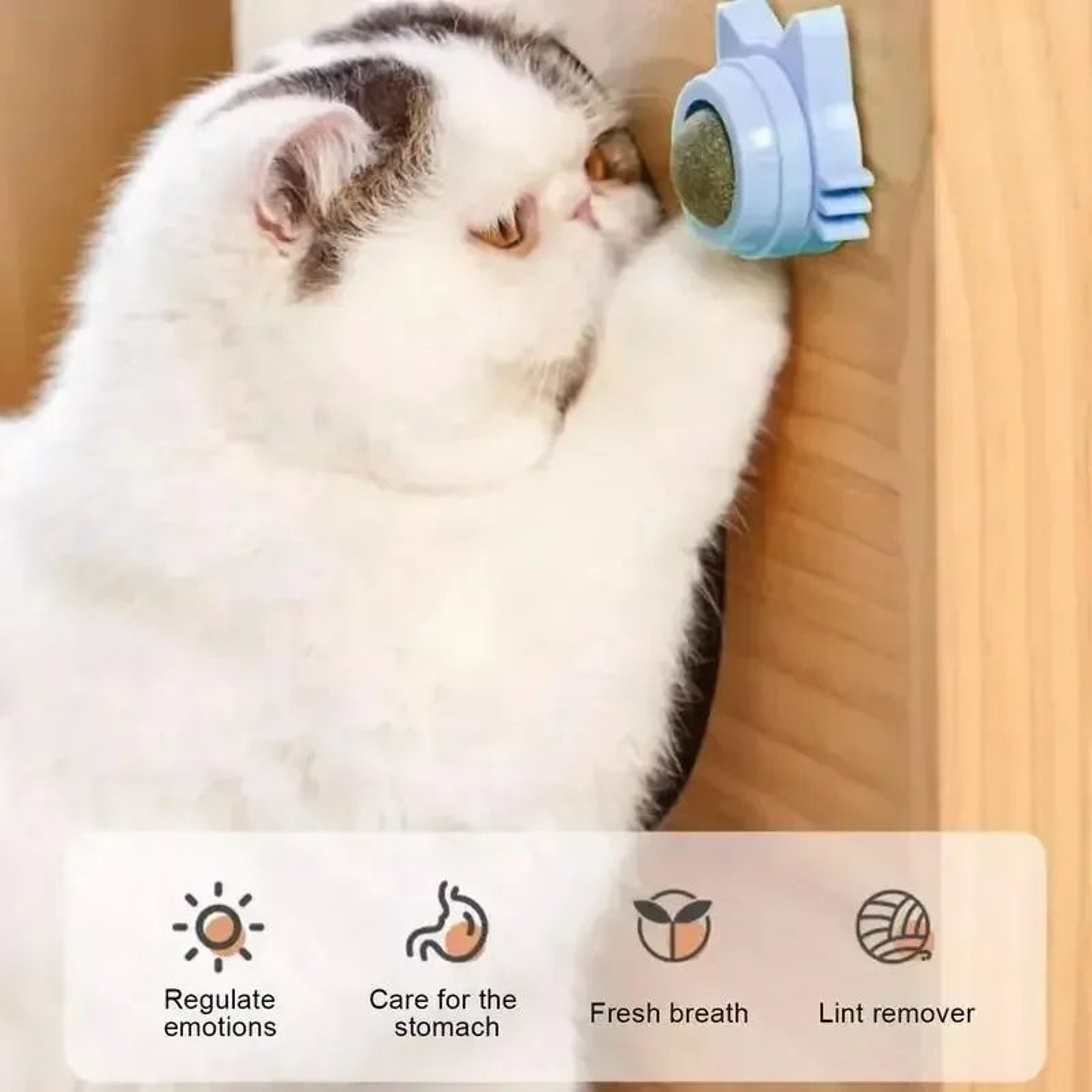 CalmPaw Rotating Catnip Wall Toy For Cats  Interactive Catnip Toy  Healthy Dental Treat 2
