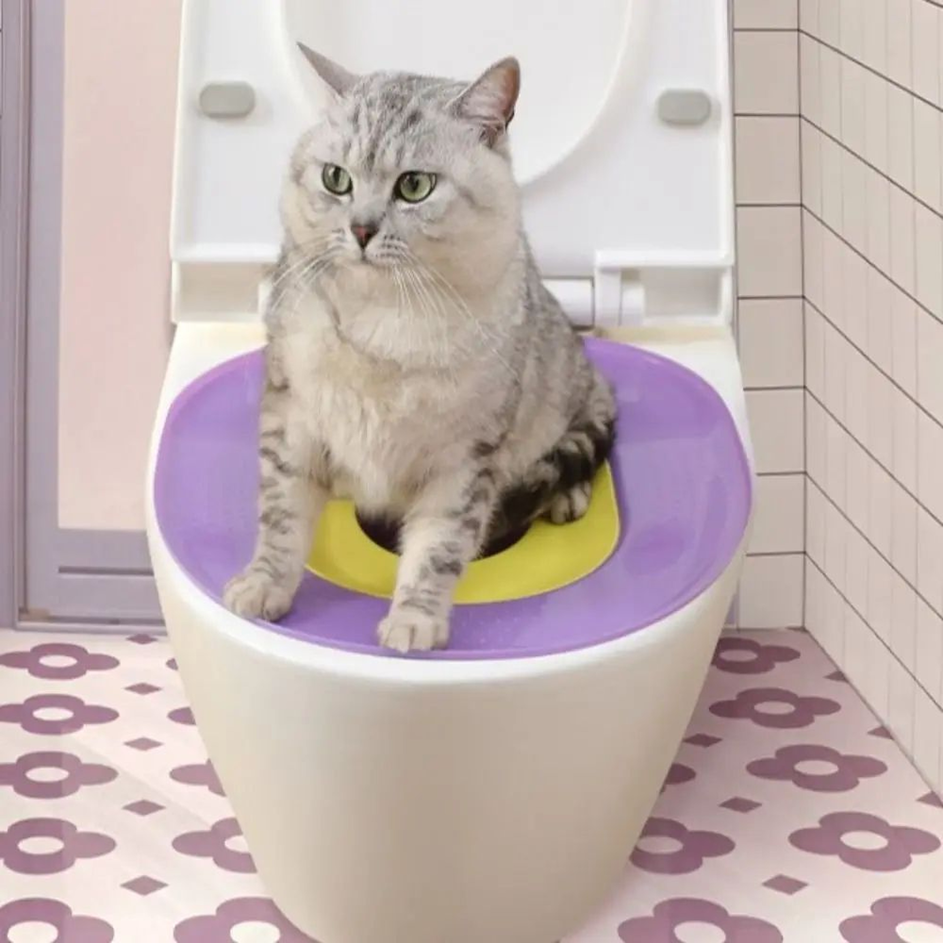FoldEase Portable Cat Litter Box Travel Toilet For Cats 5