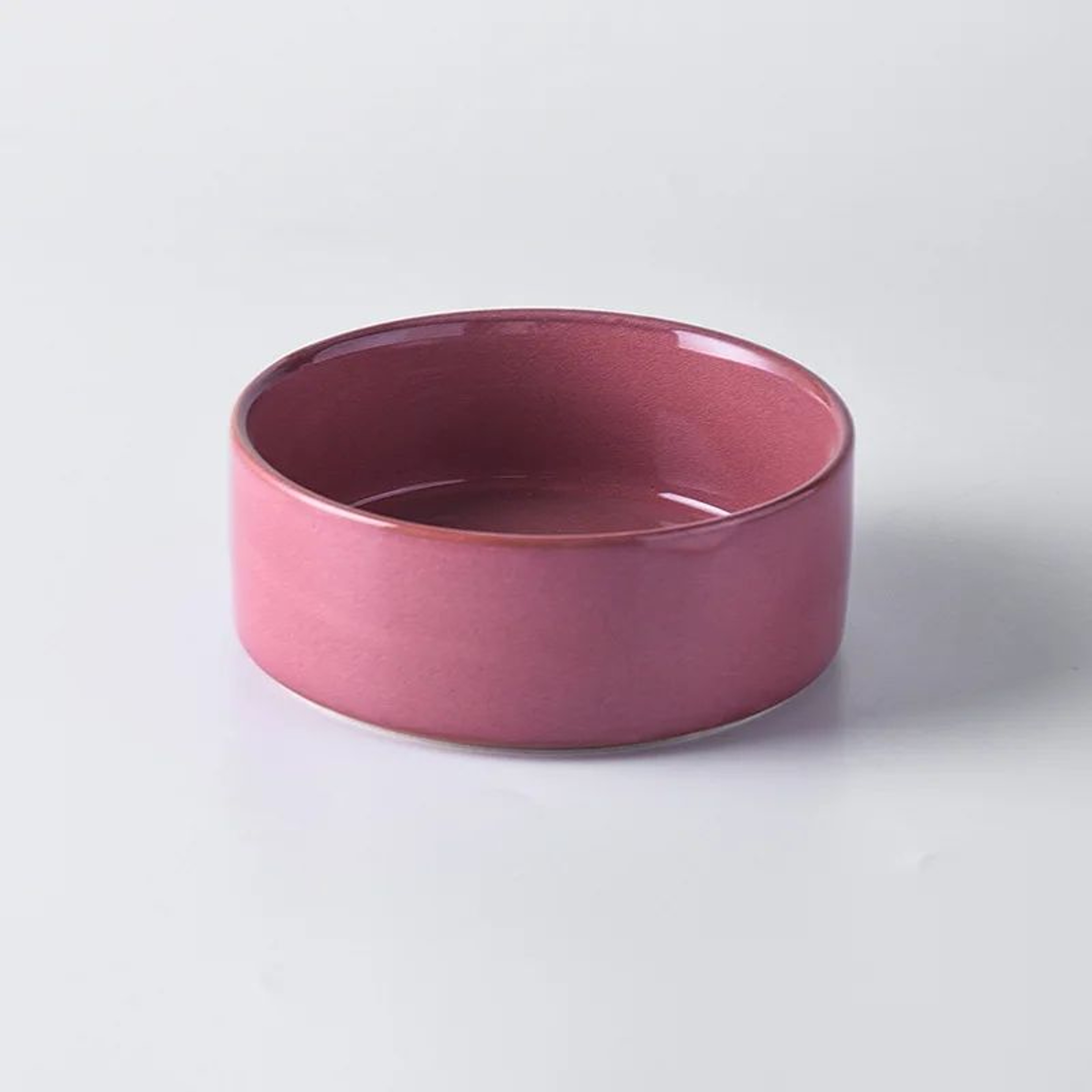 Elevated Ceramic Cat Bowl For Cats  Small Dogs  AntiVomit Raised Pet Bowl With NonSlip Design 7