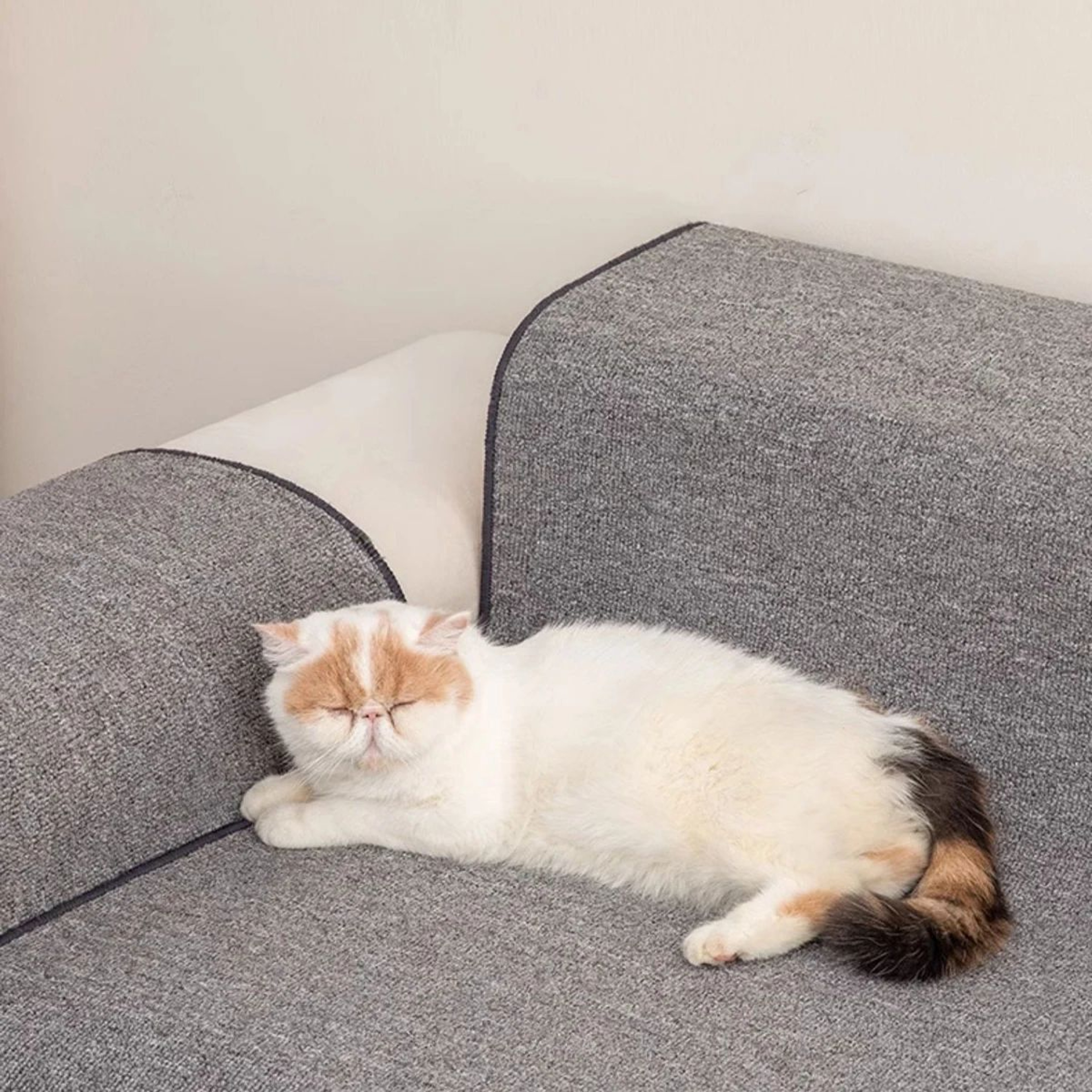 CatGuard Sisal Scratching Mat  Furniture Protector 4