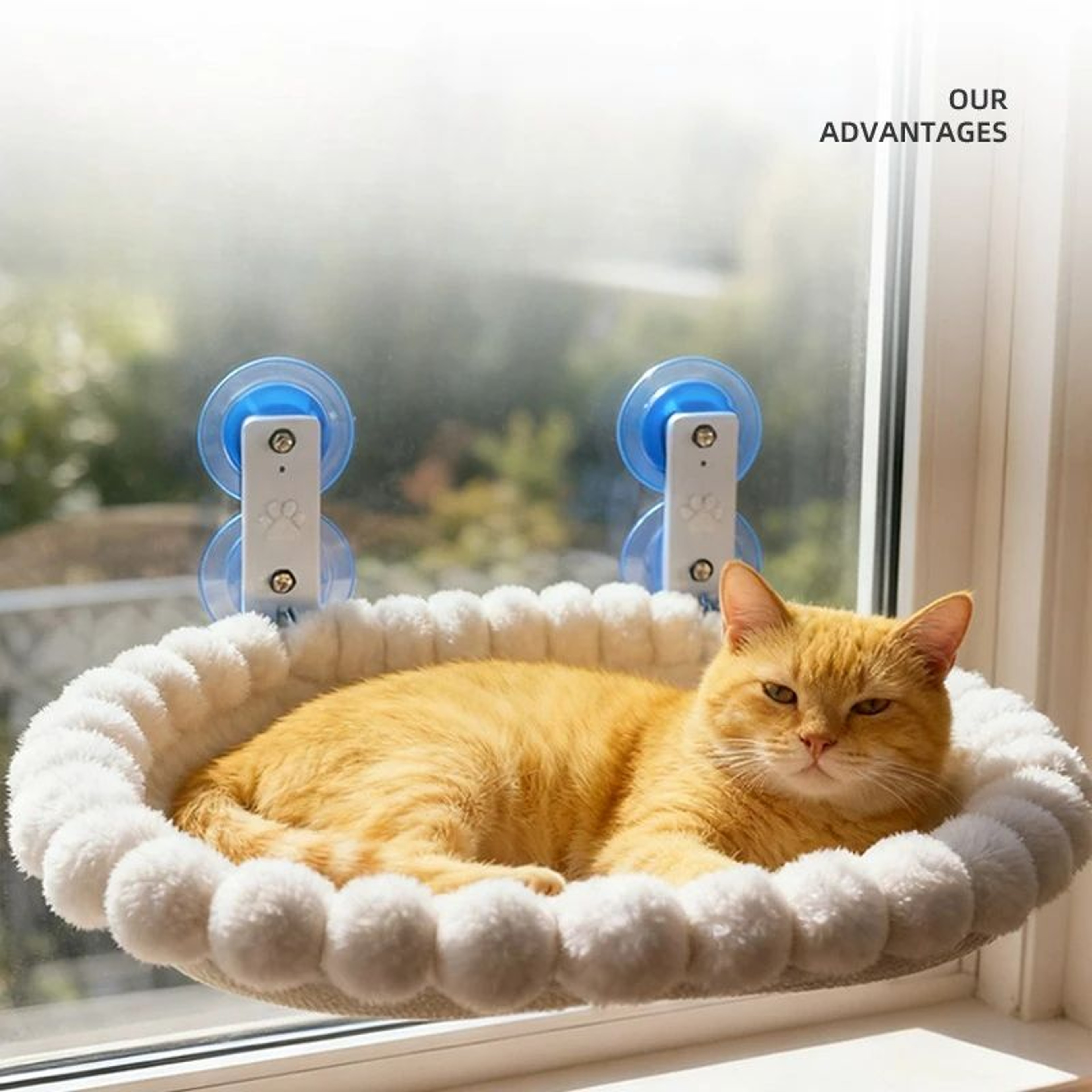 Foldable Cat Window Hammock Bed With Strong Suction Cups 1